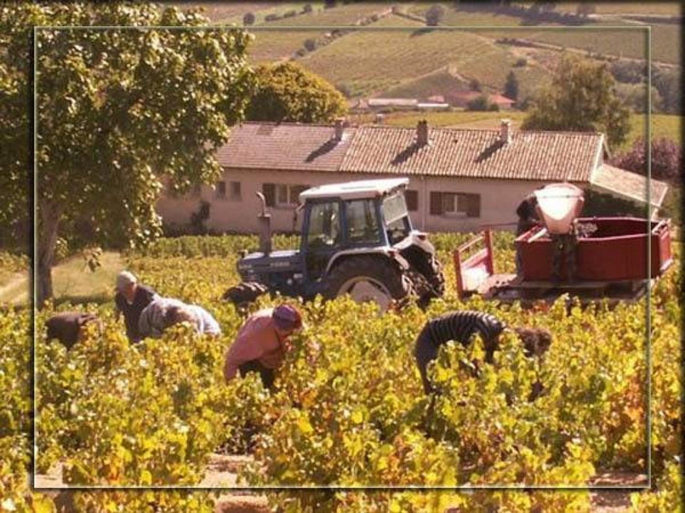 La Croix de Saburin view 5