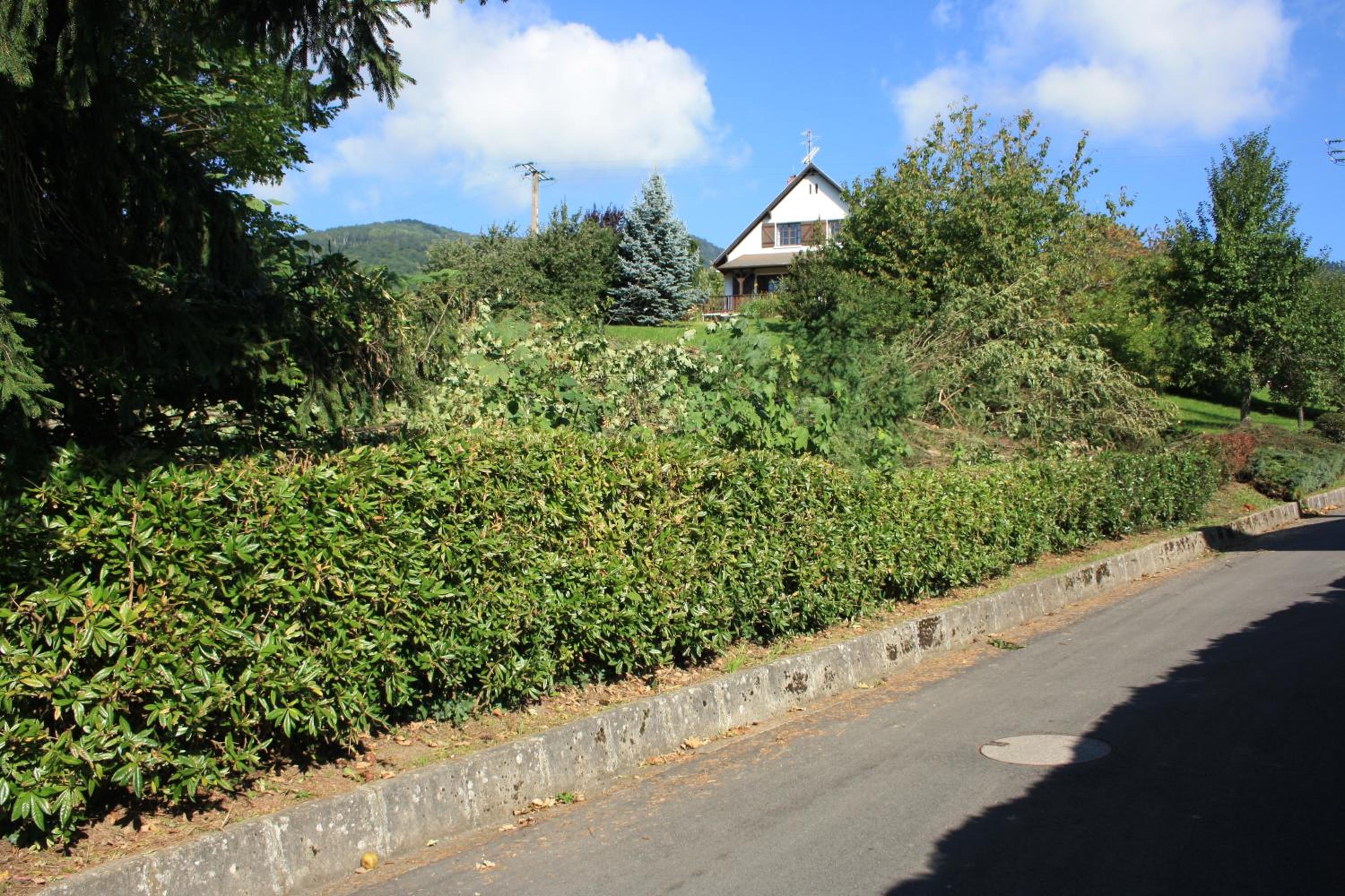 Photo 29