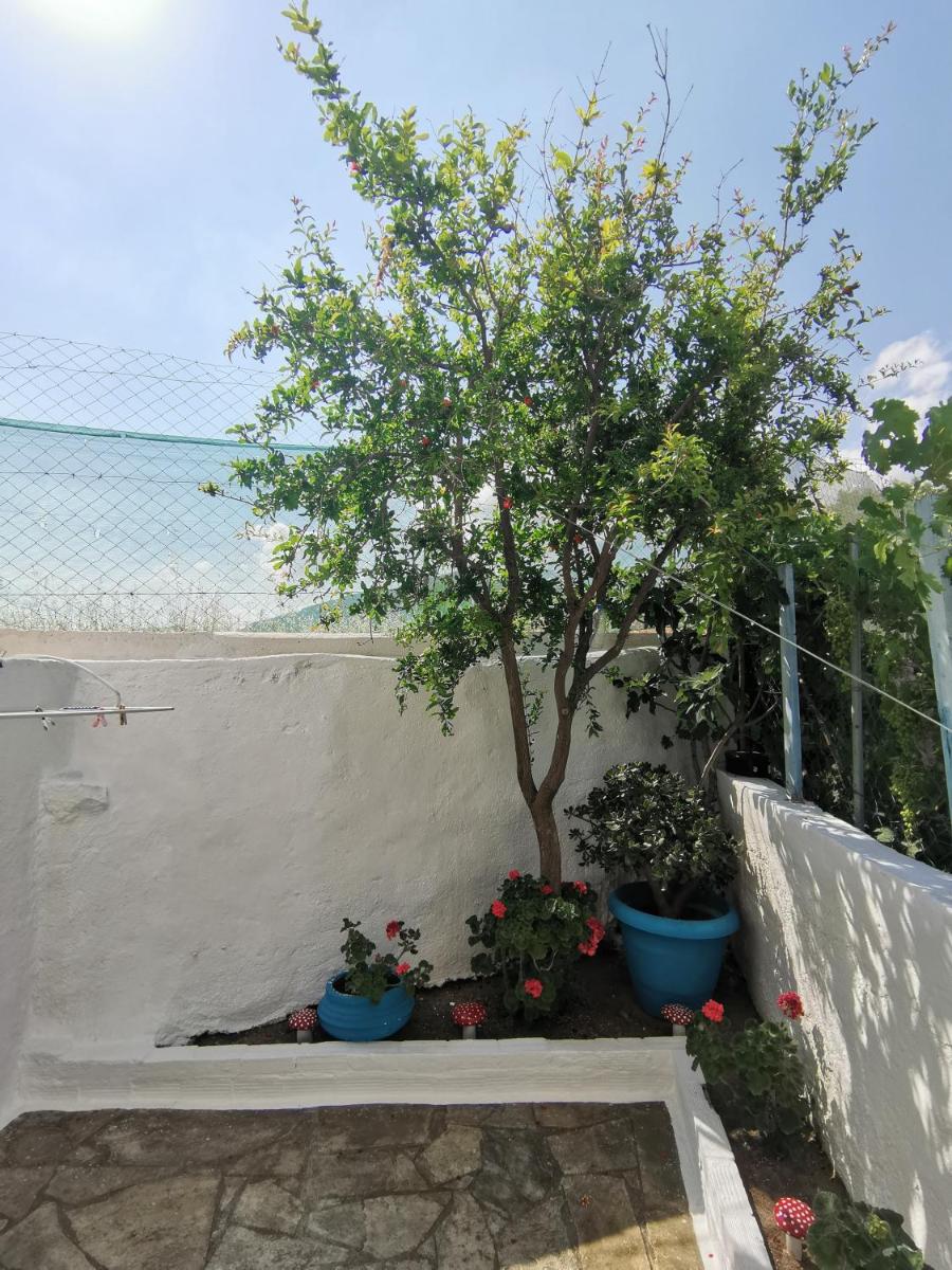 Photo 58