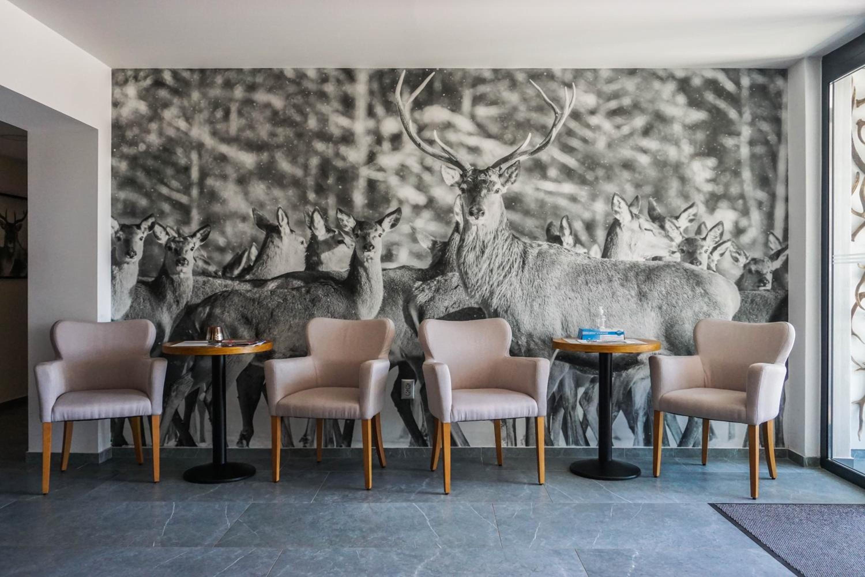 Penzión DEER view 5