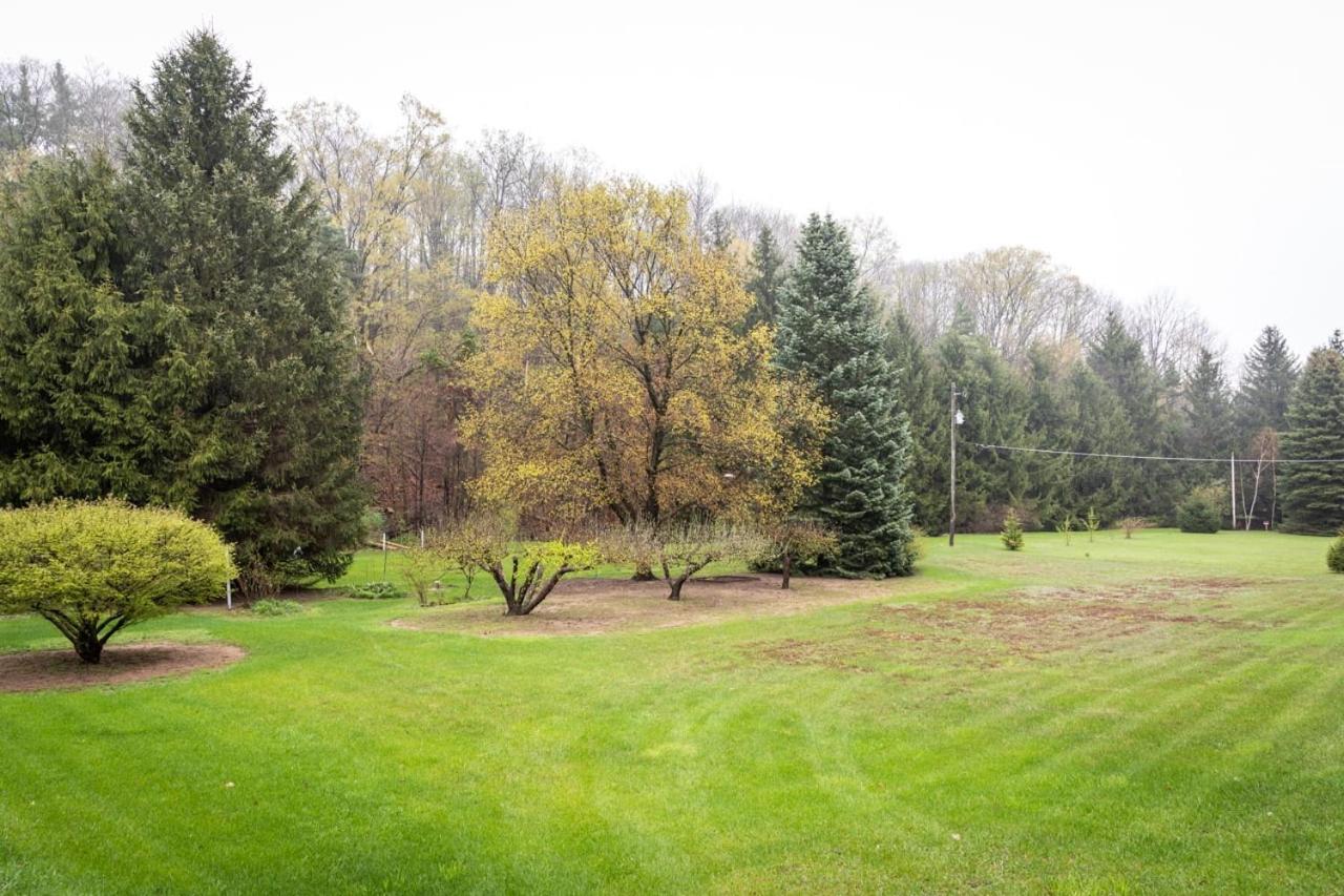 Cedar Creek Cottage Close to Downtown Traverse City Beaches and the TART Trail