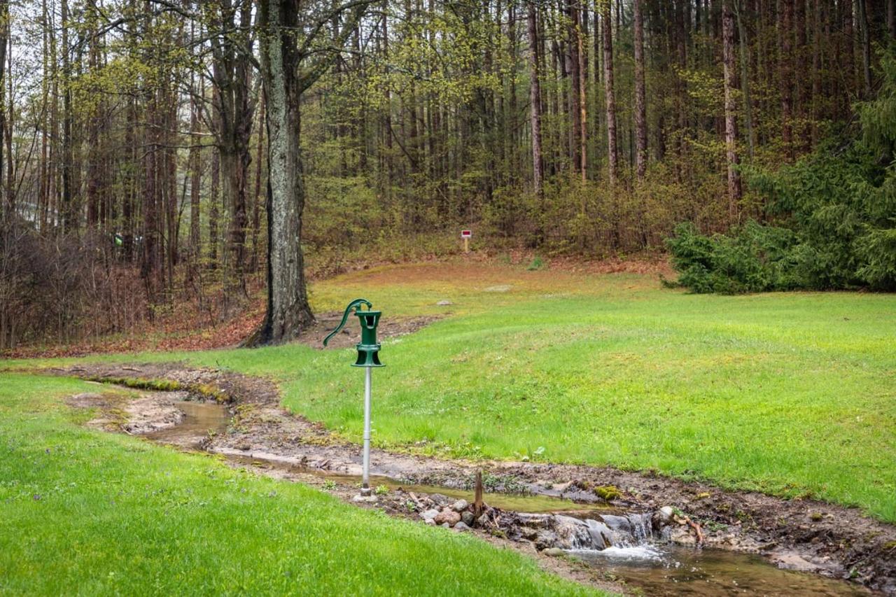 Cedar Creek Cottage Close to Downtown Traverse City Beaches and the TART Trail