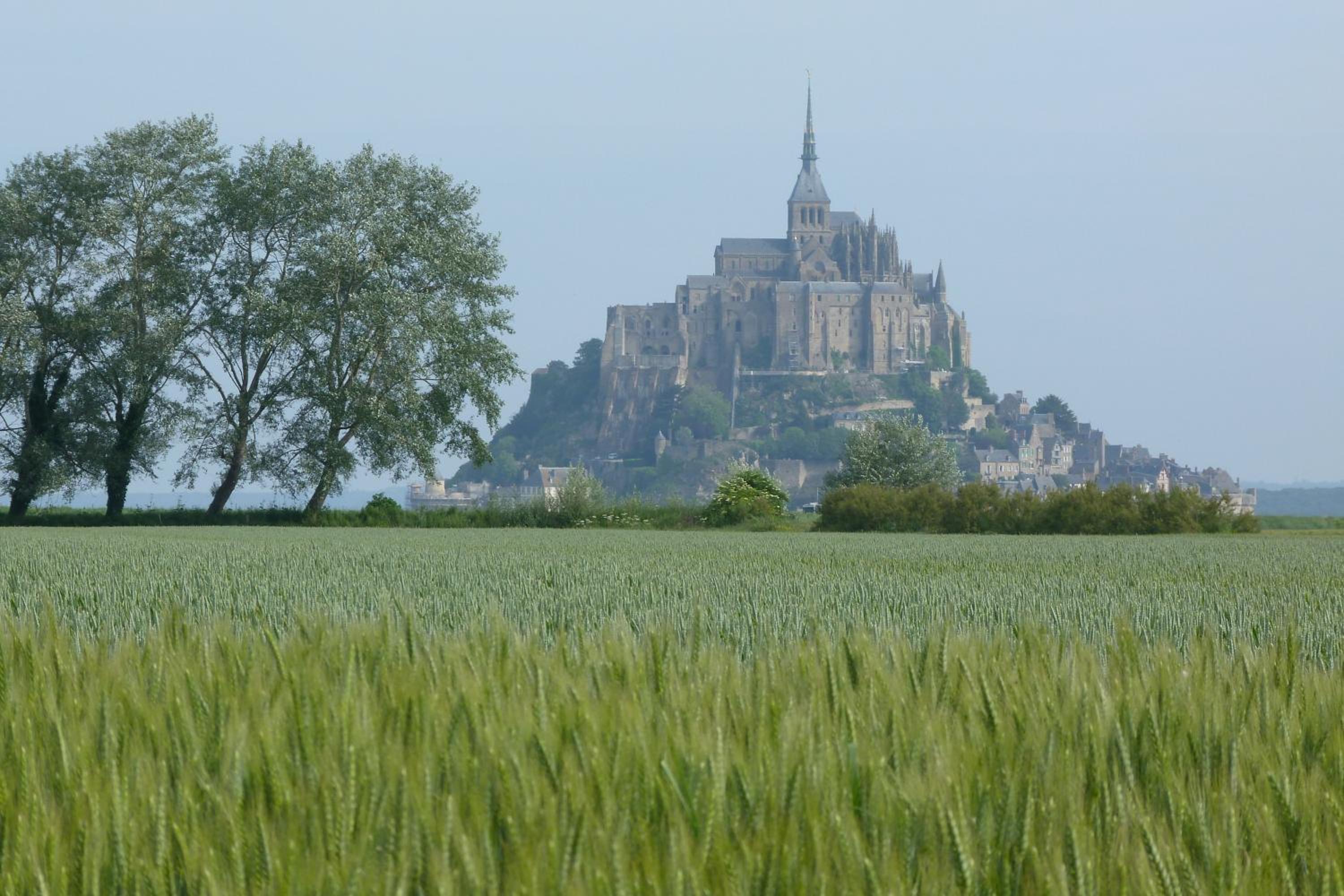 Photo 16