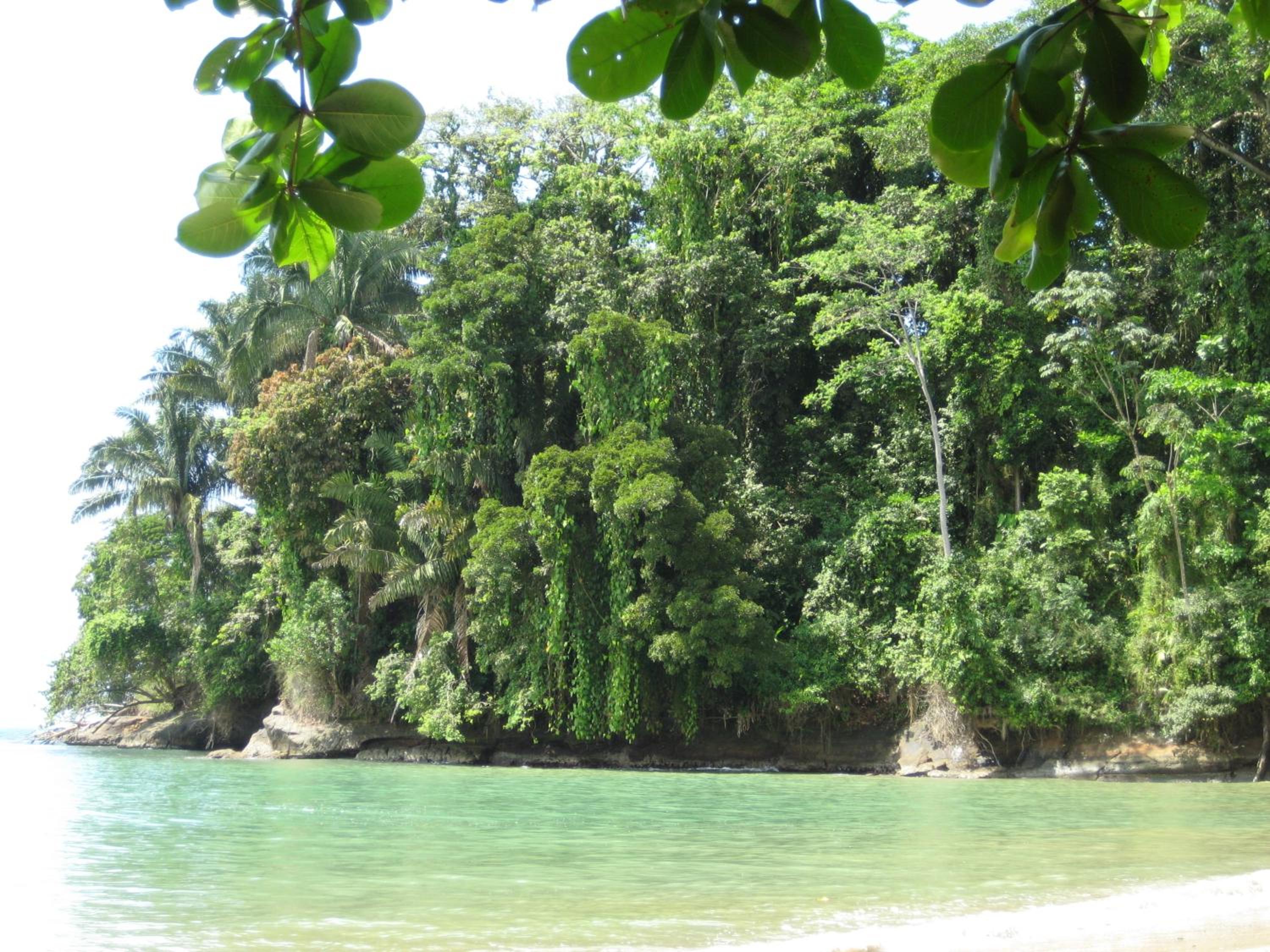 El Tucan Jungle Lodge