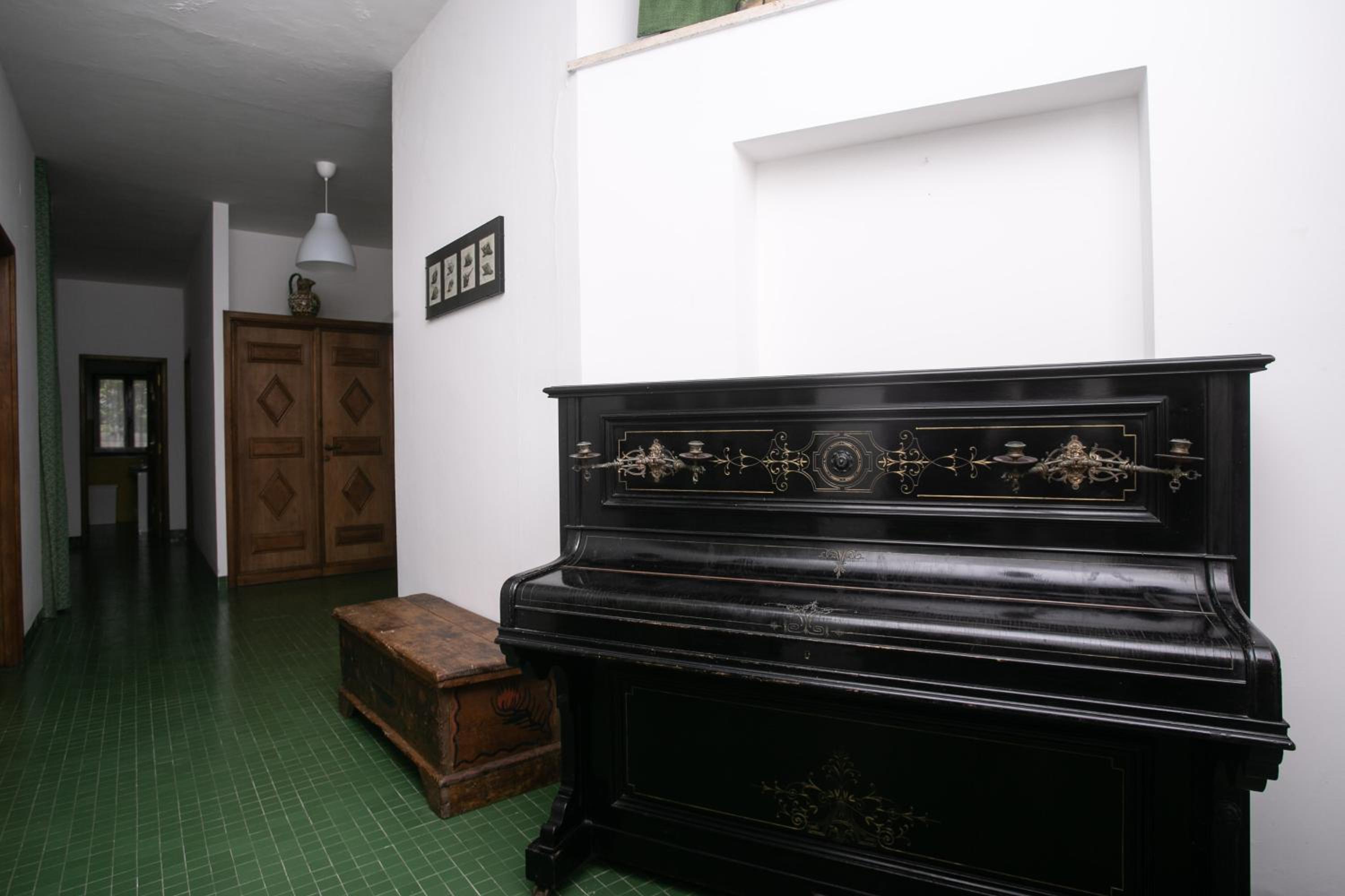 Photo 8