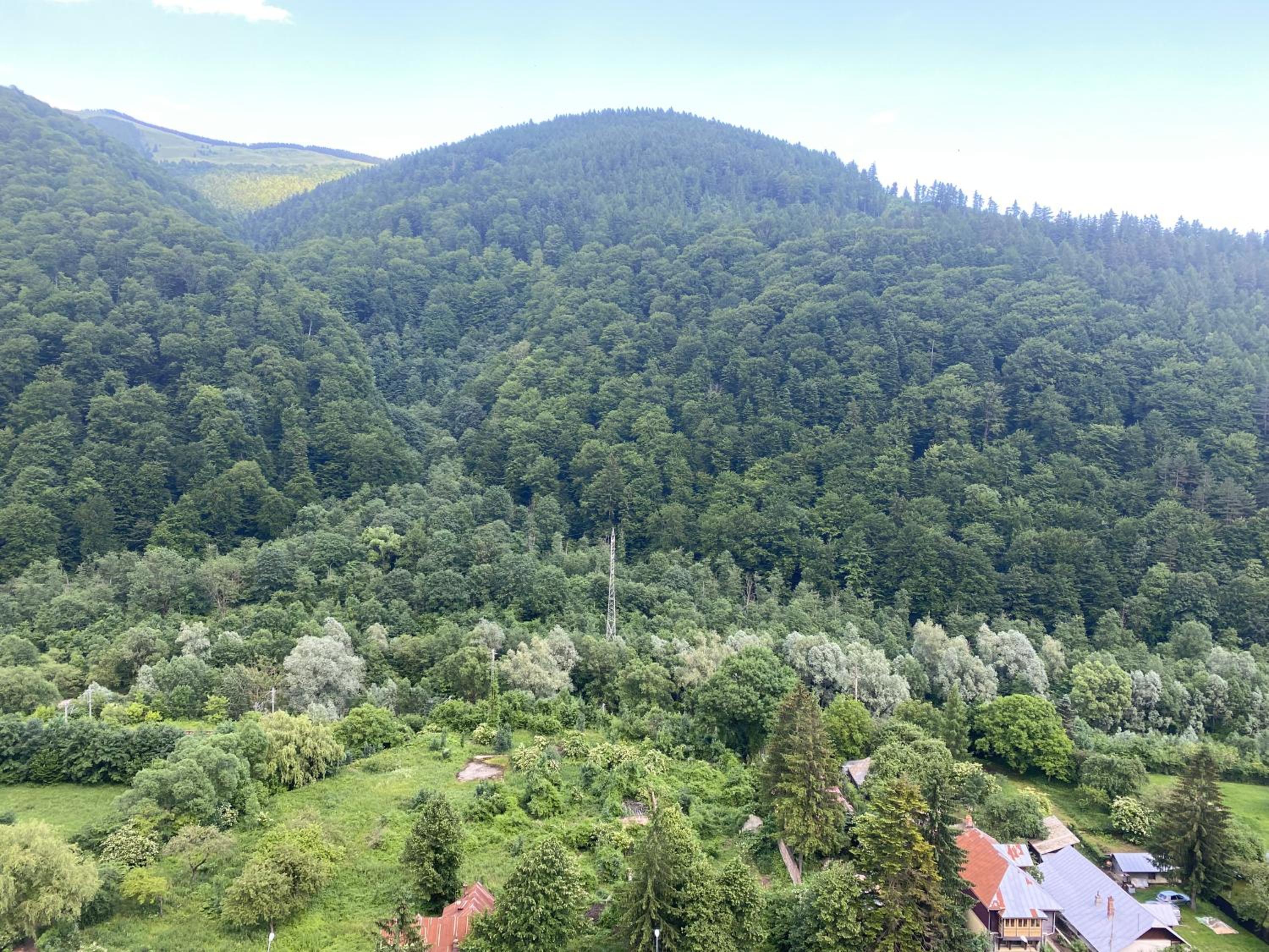 Heidy Sinaia view 5