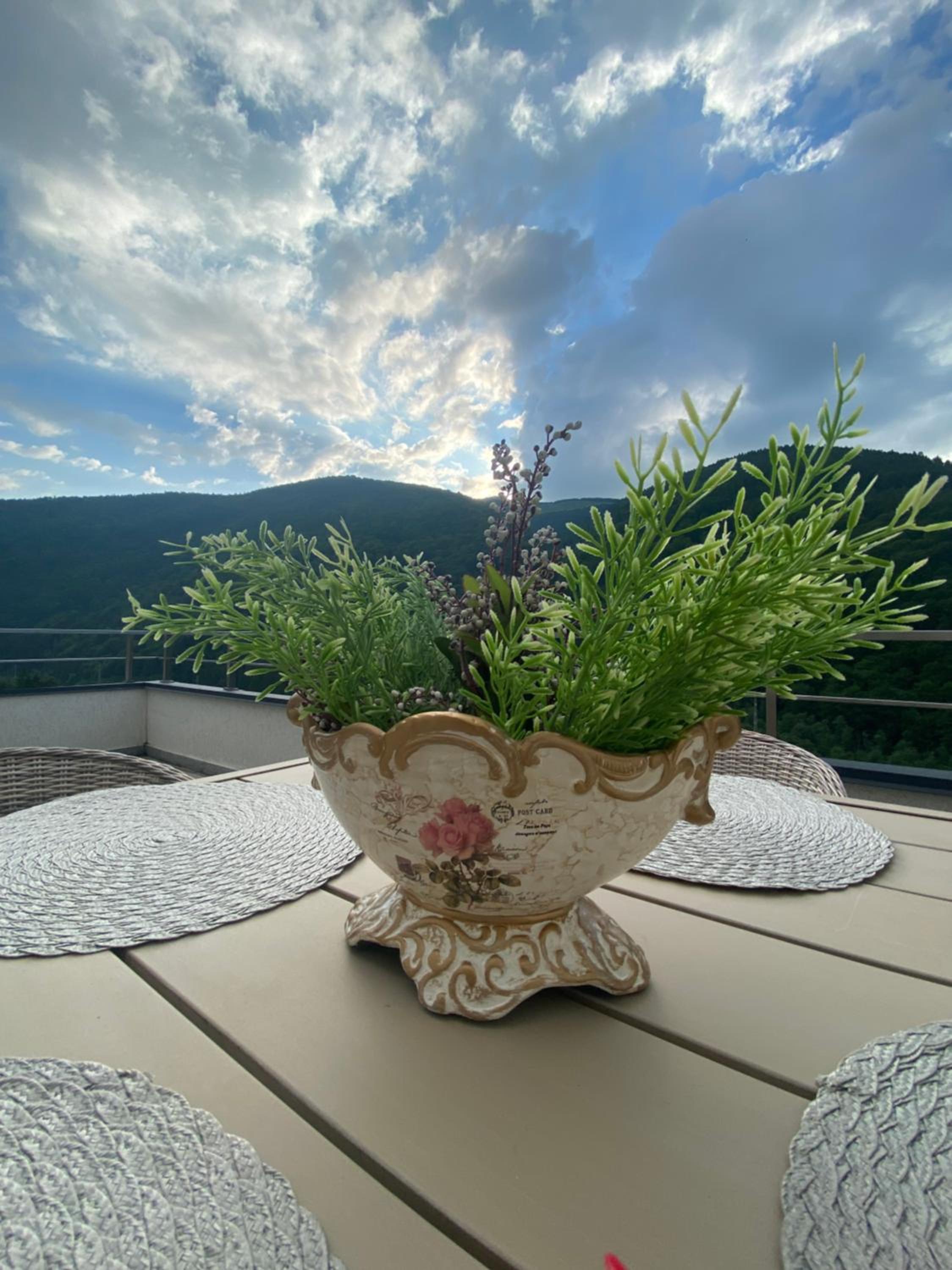 Heidy Sinaia view 3