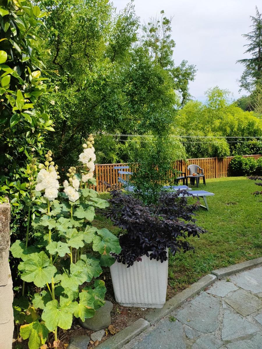 2 bedrooms appartement with enclosed garden and wifi at Arona 3 km away from the beach