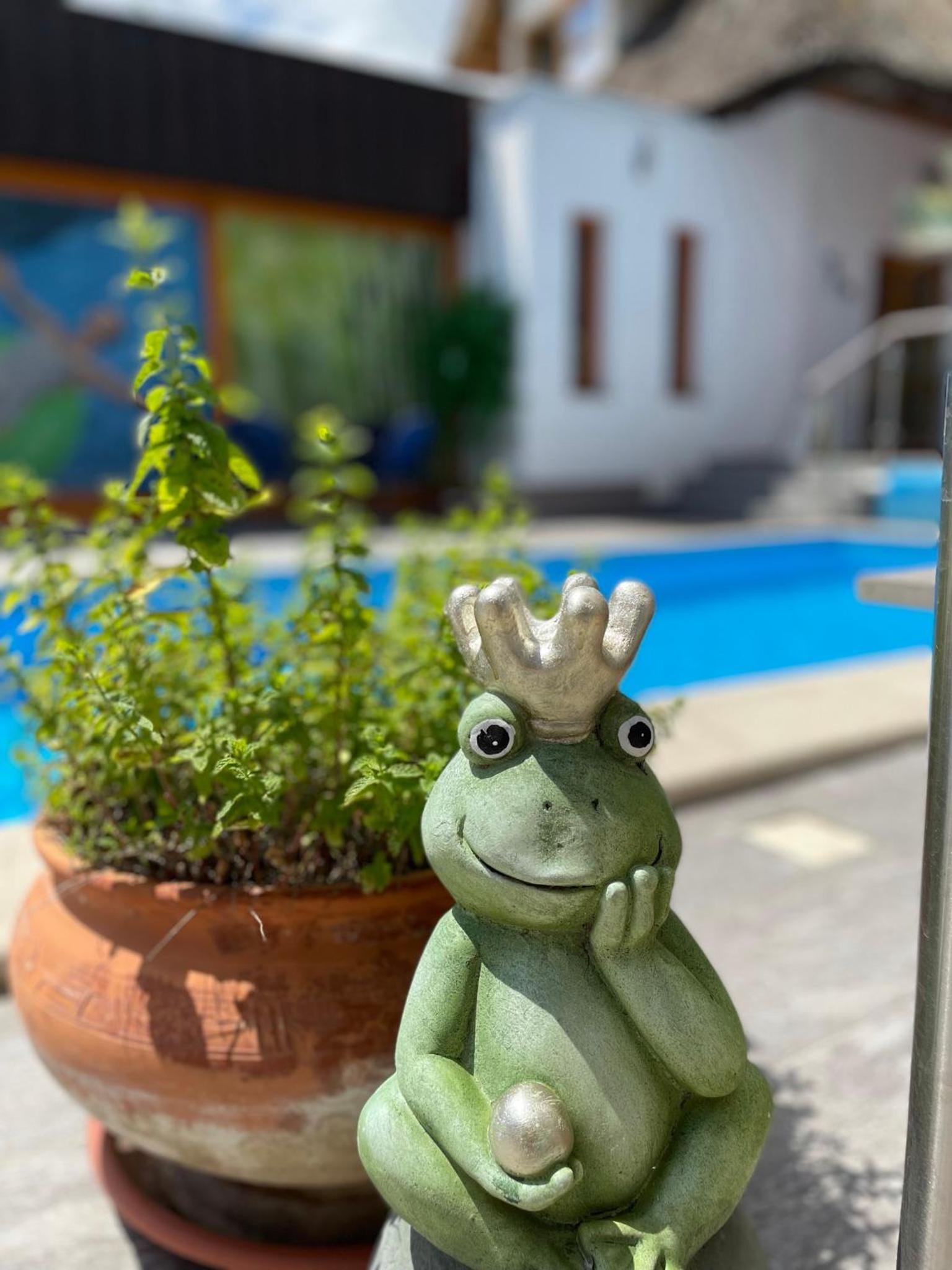 Rigótanya Relax & Wellness Panzió Bükfürdő view 5