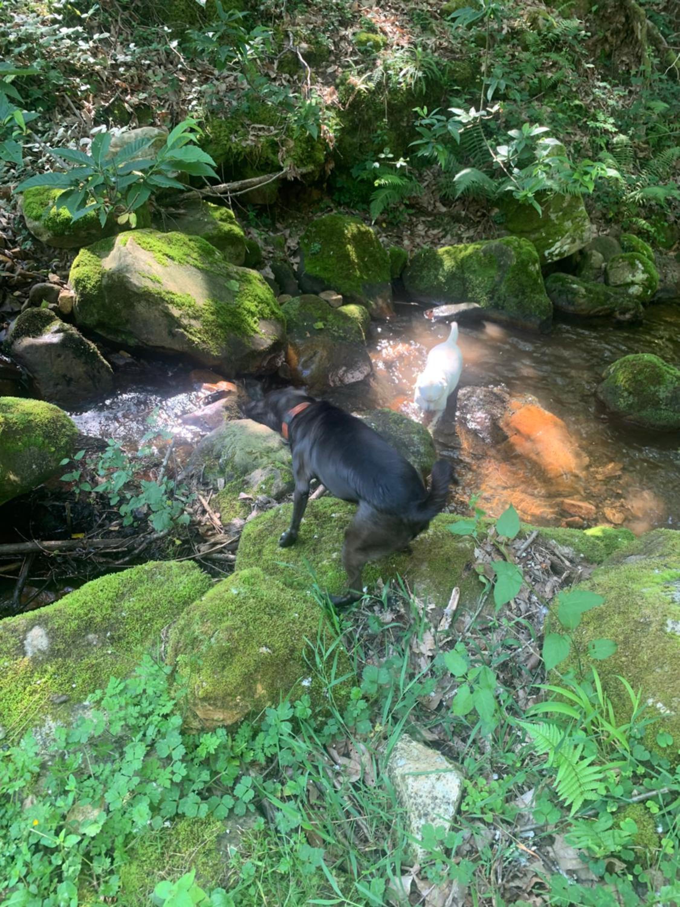 Photo 17