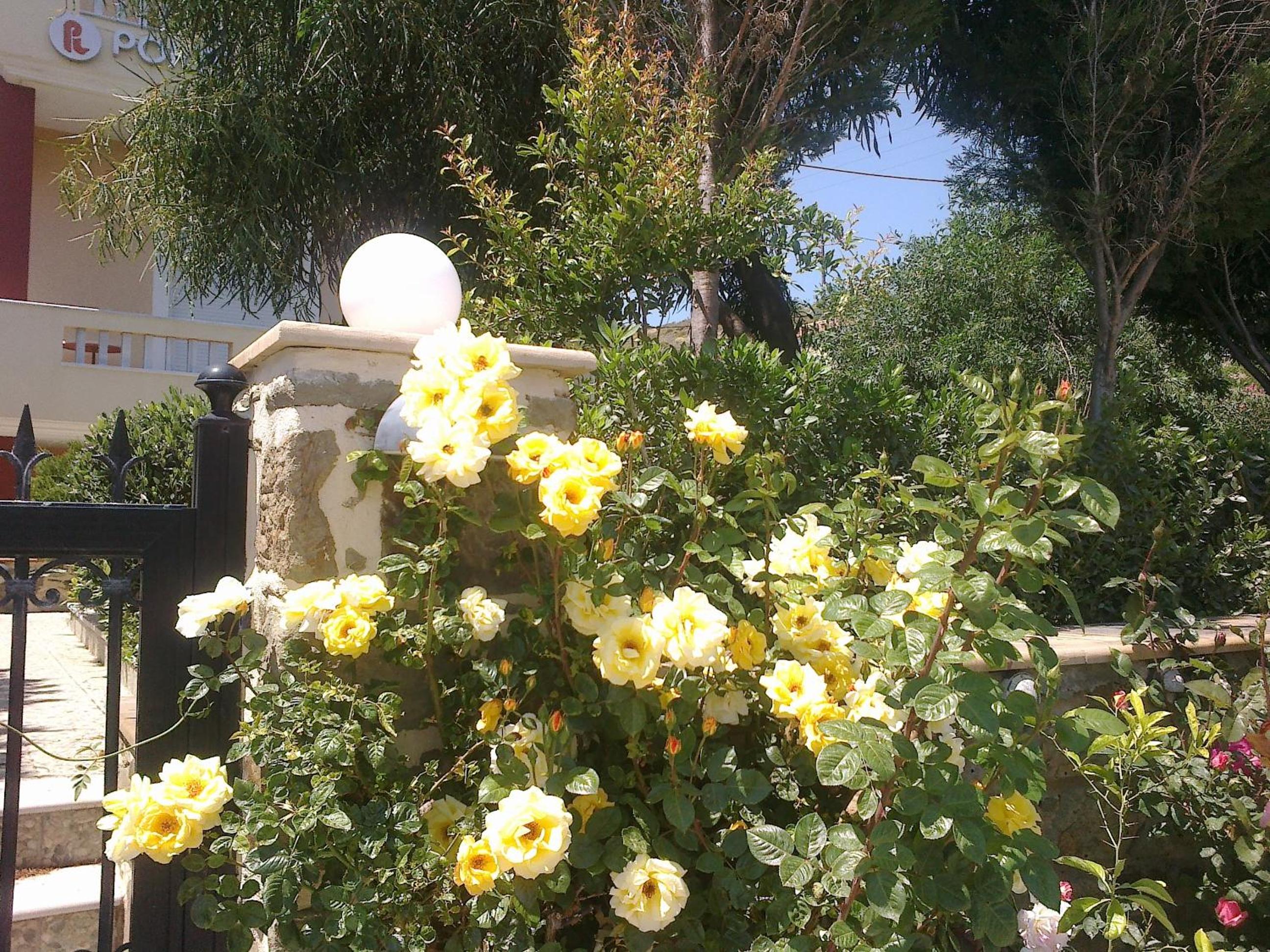 Photo 39