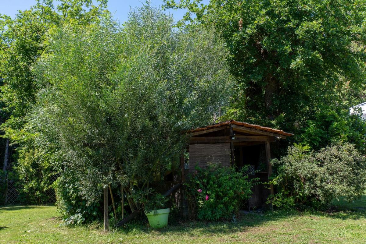 Photo 49