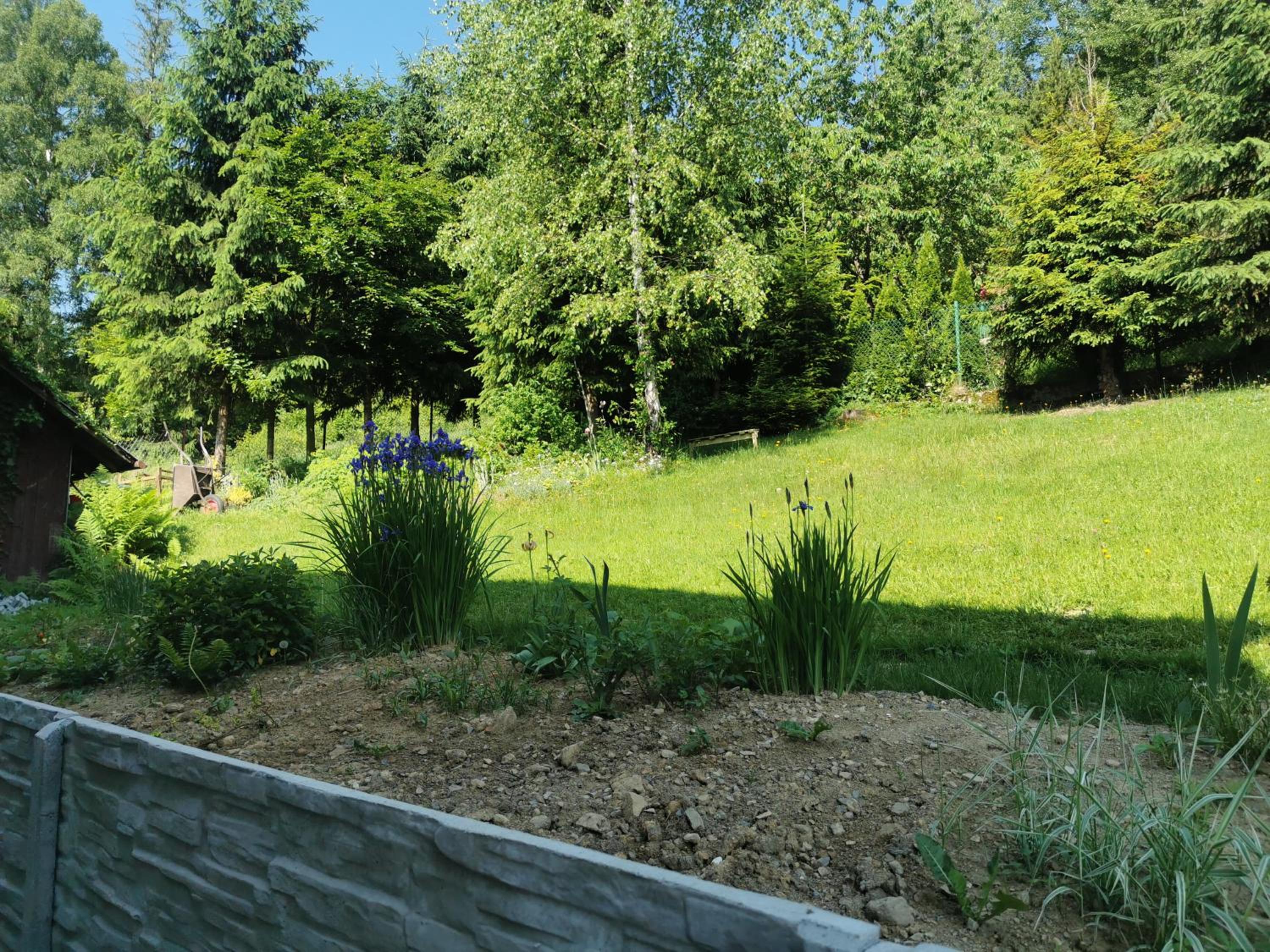 Photo 41