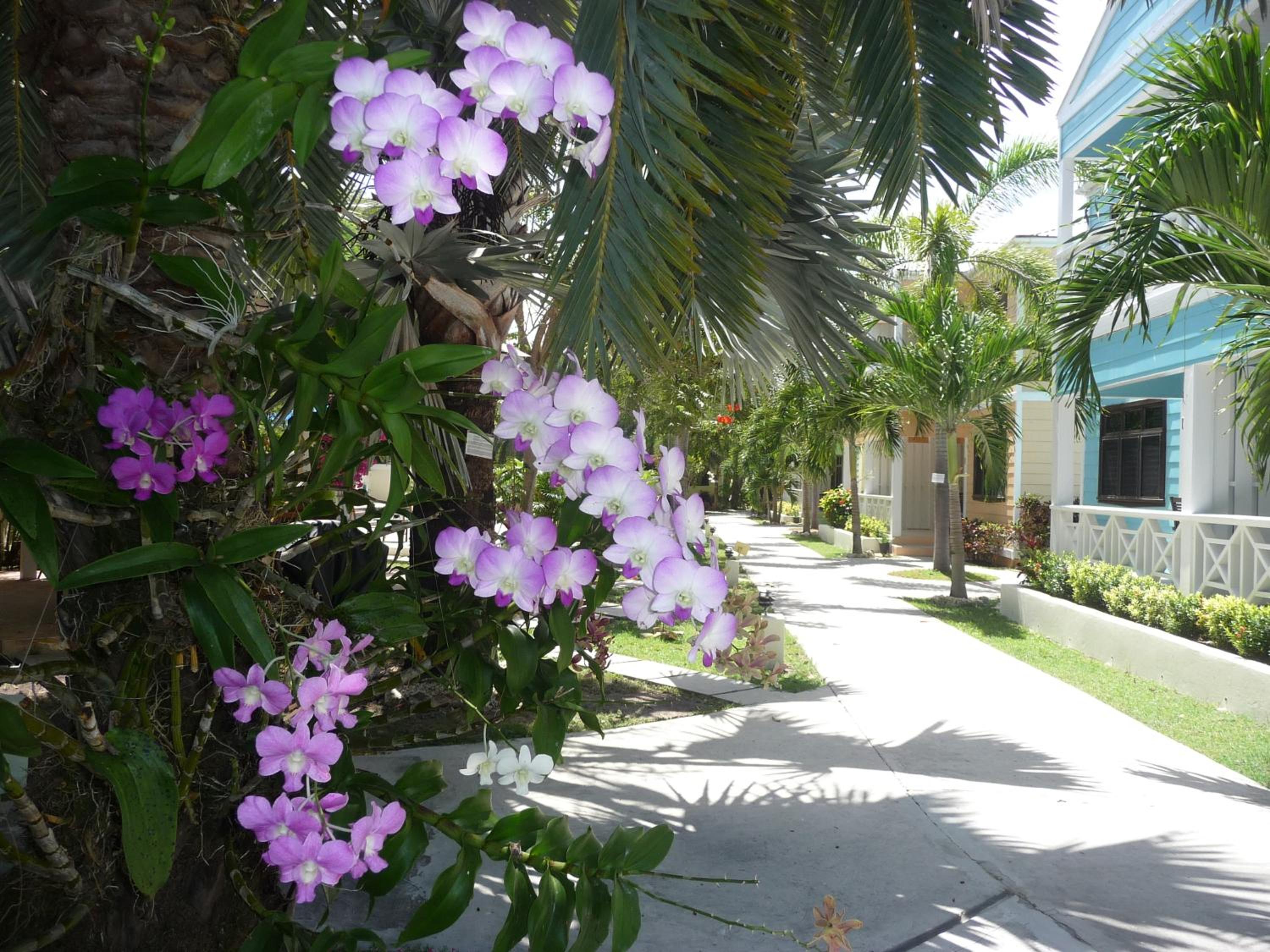 Buccaneer Beach Club - Property Image 44