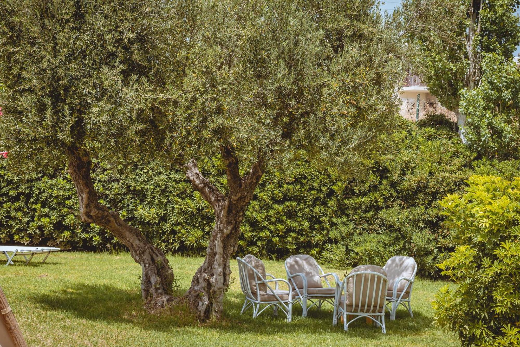Iphigenia Mythic Retreat