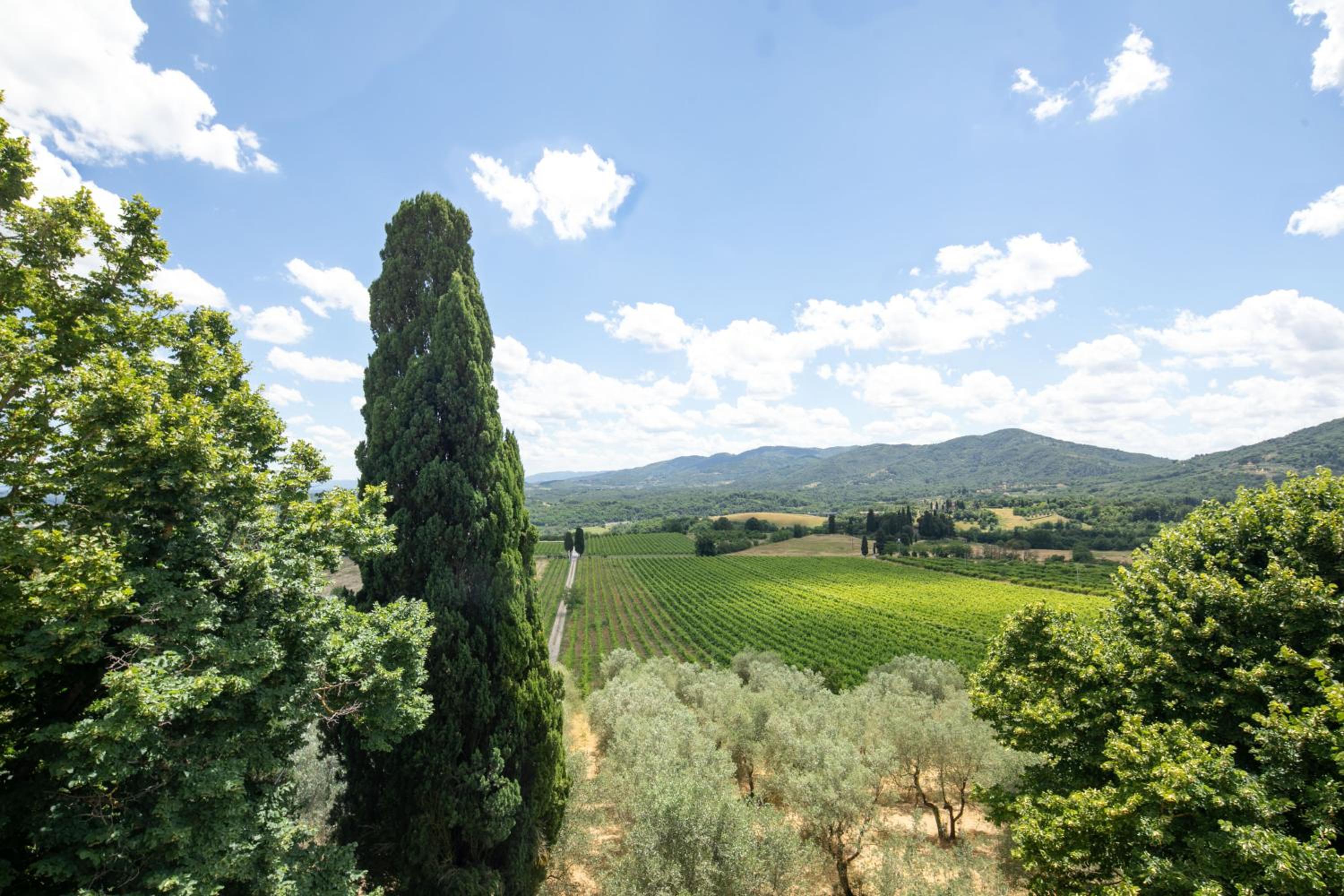 Villa Rignano by Mmega