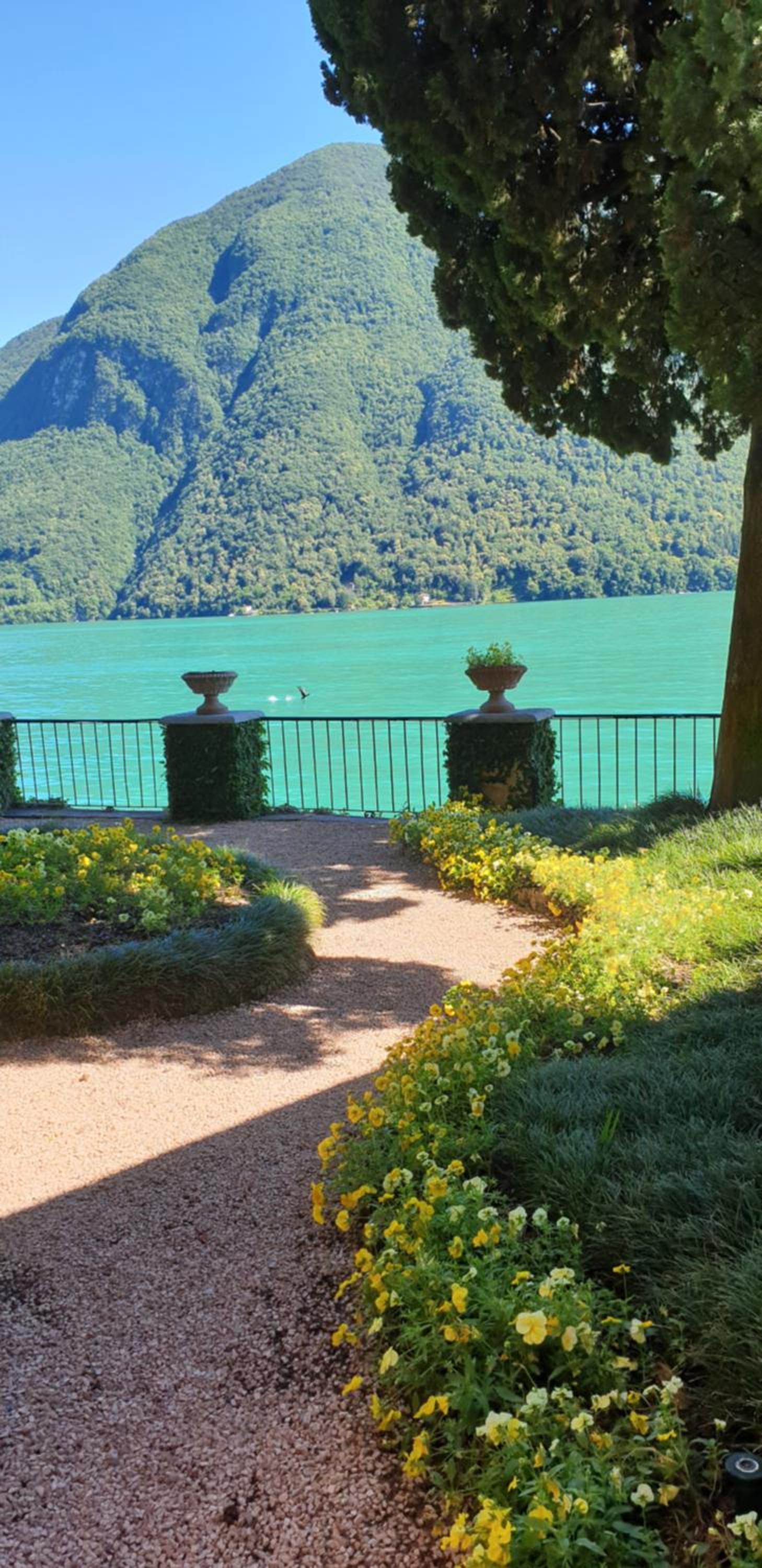 Lugano Lake, nido del cigno view 3