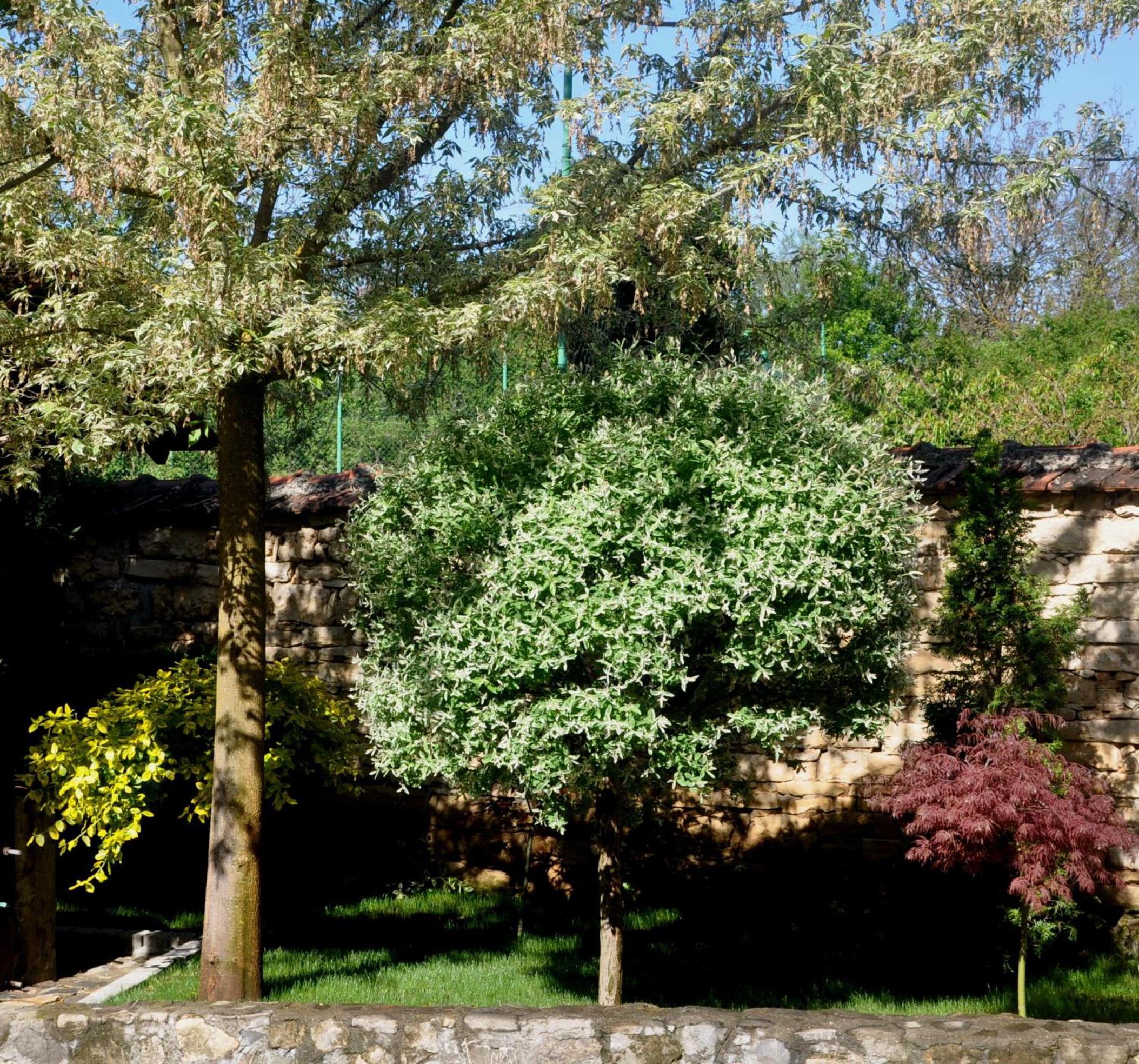 Guesthouse Djurić view 5
