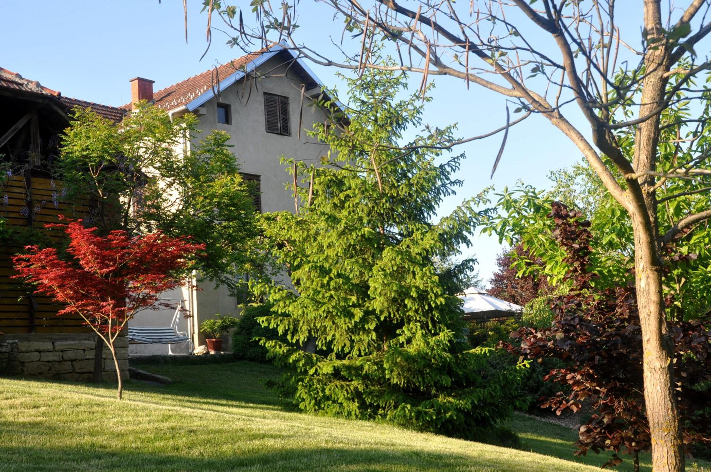 Guesthouse Djurić view 2