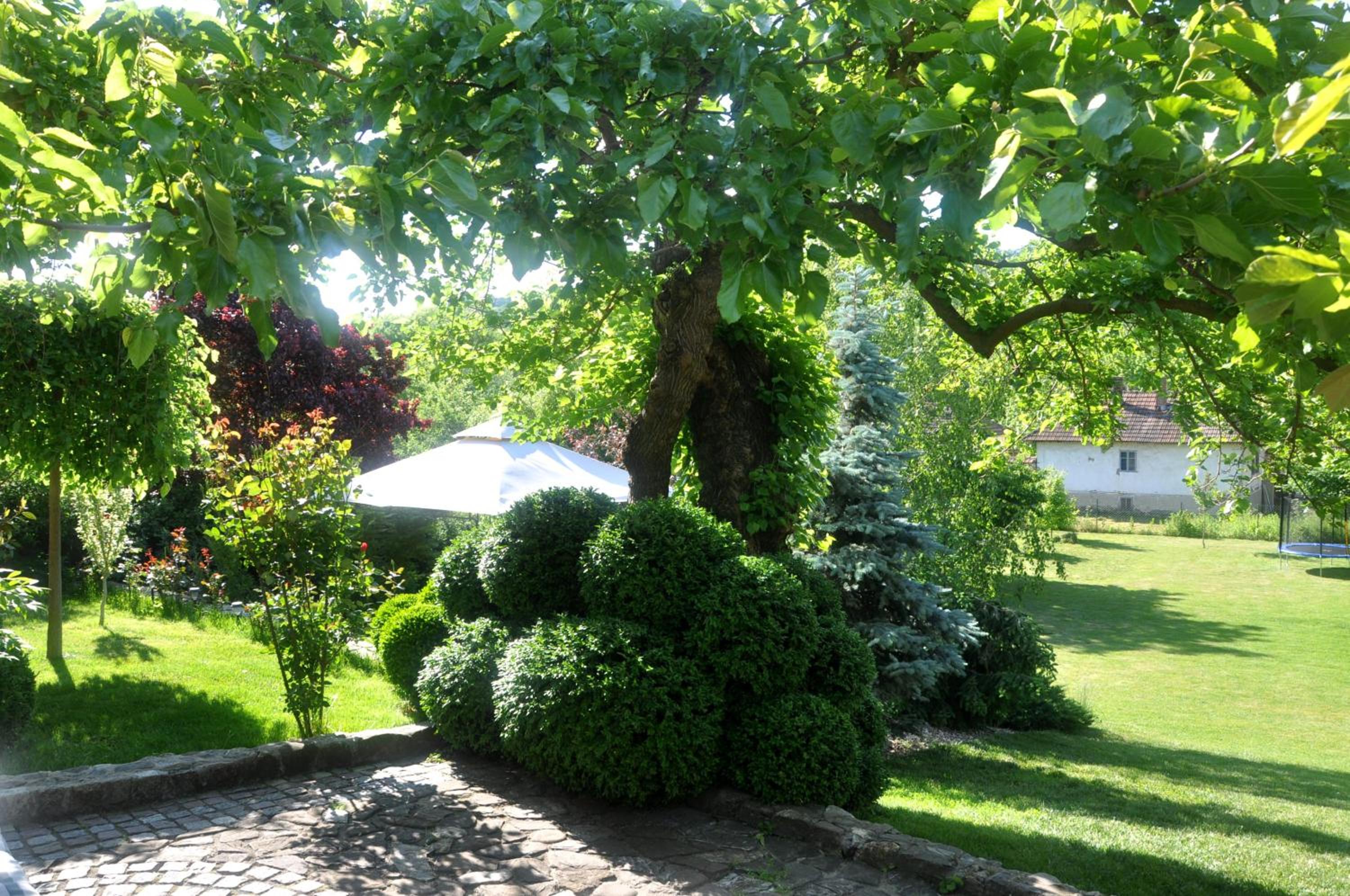 Photo 9