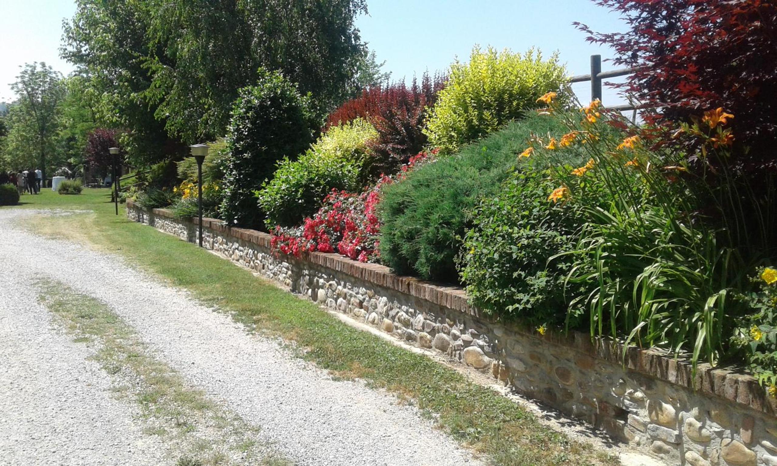 Photo 41