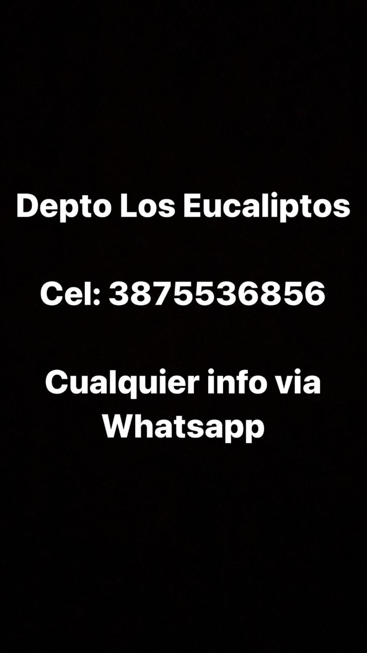 Departamento Los Eucaliptos