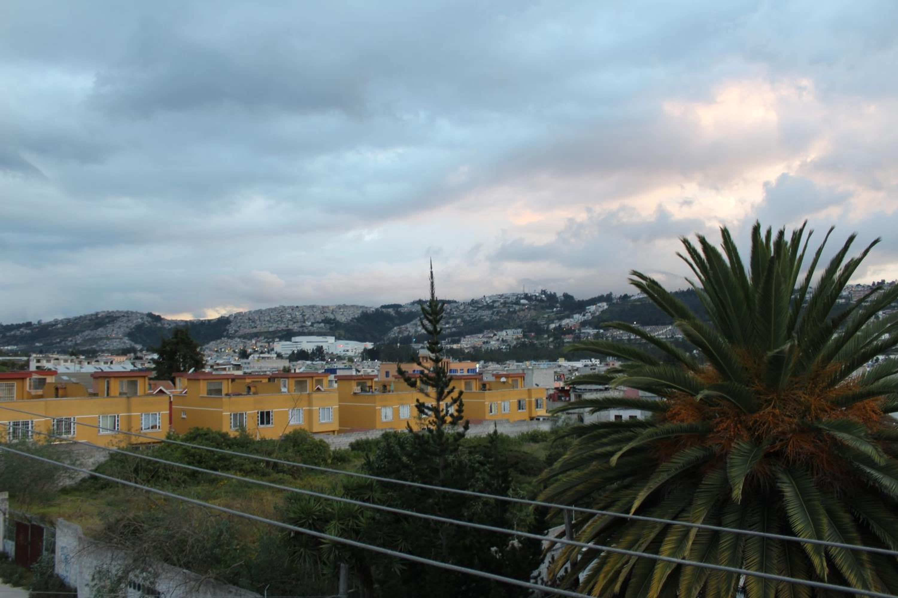 Photo 29