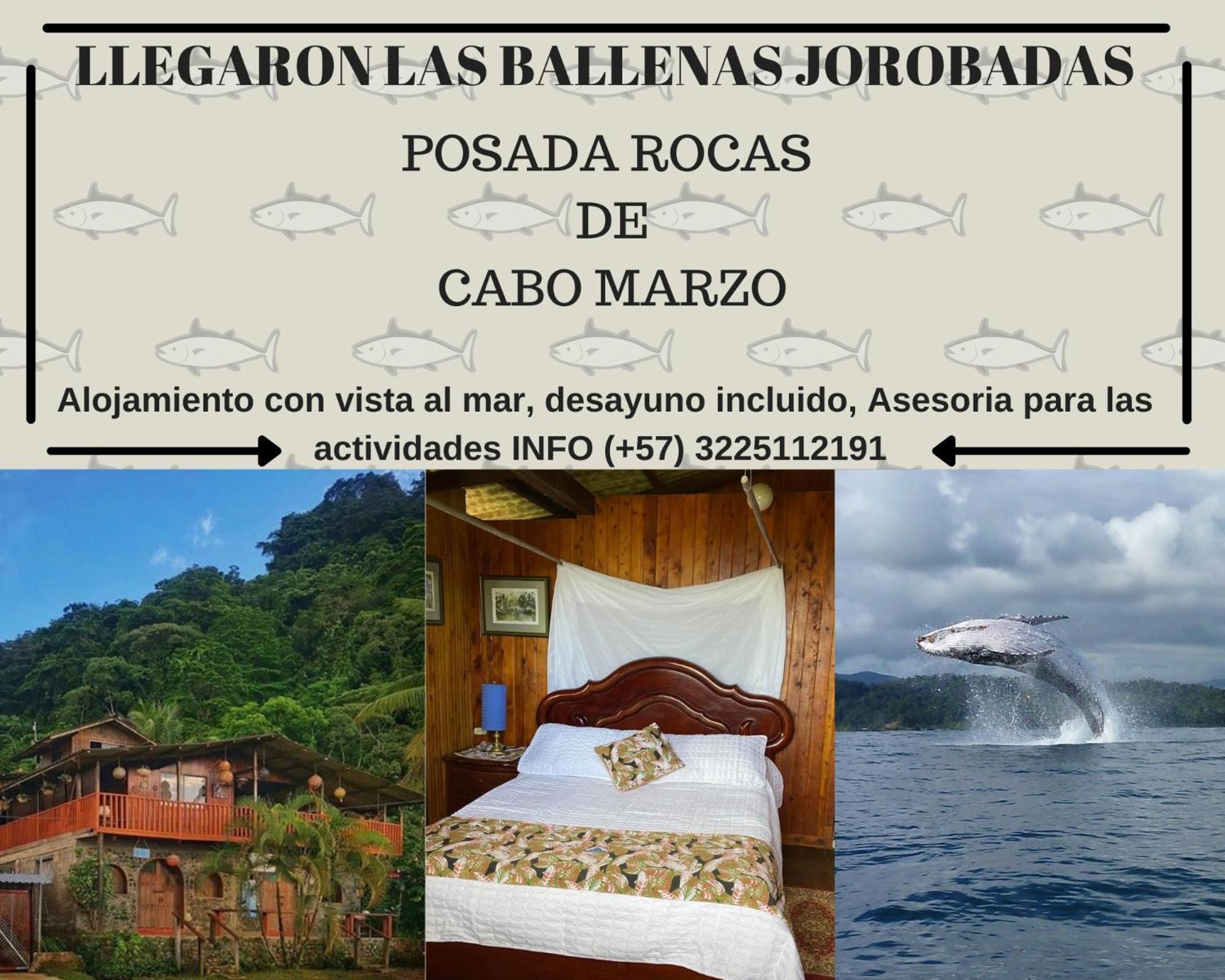 Posada Turística Rocas De Cabo Marzo