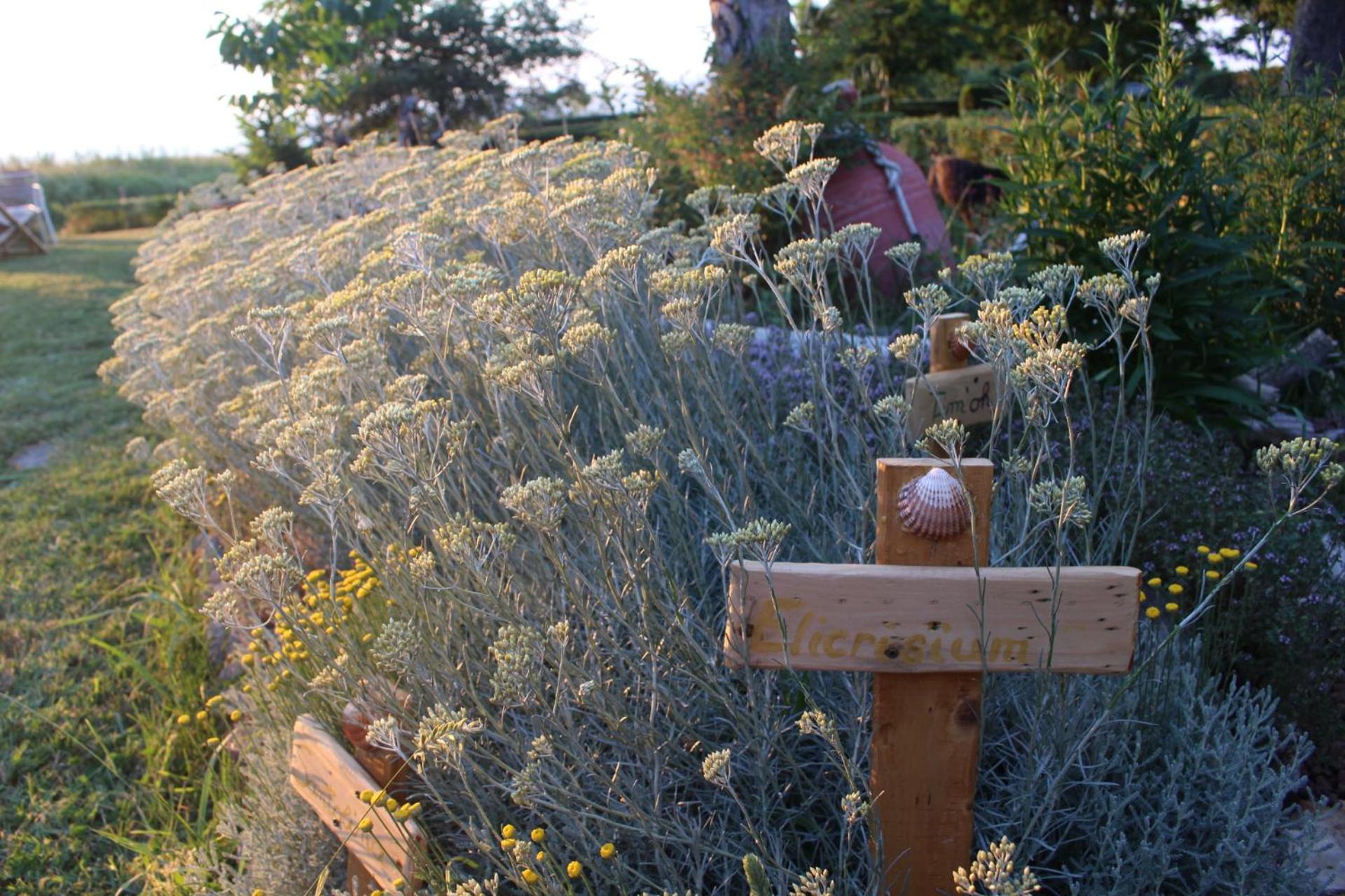 Chalet sul Trasimeno