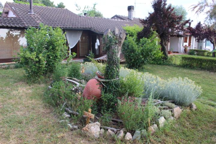 Chalet sul Trasimeno