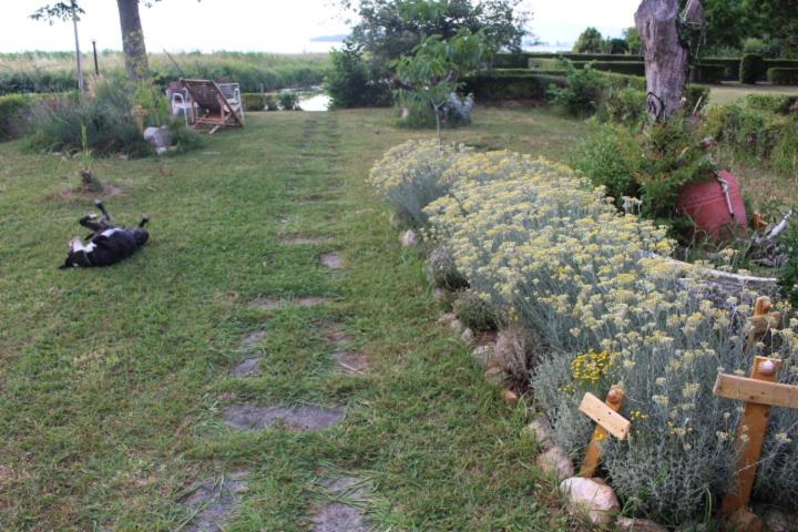 Chalet sul Trasimeno