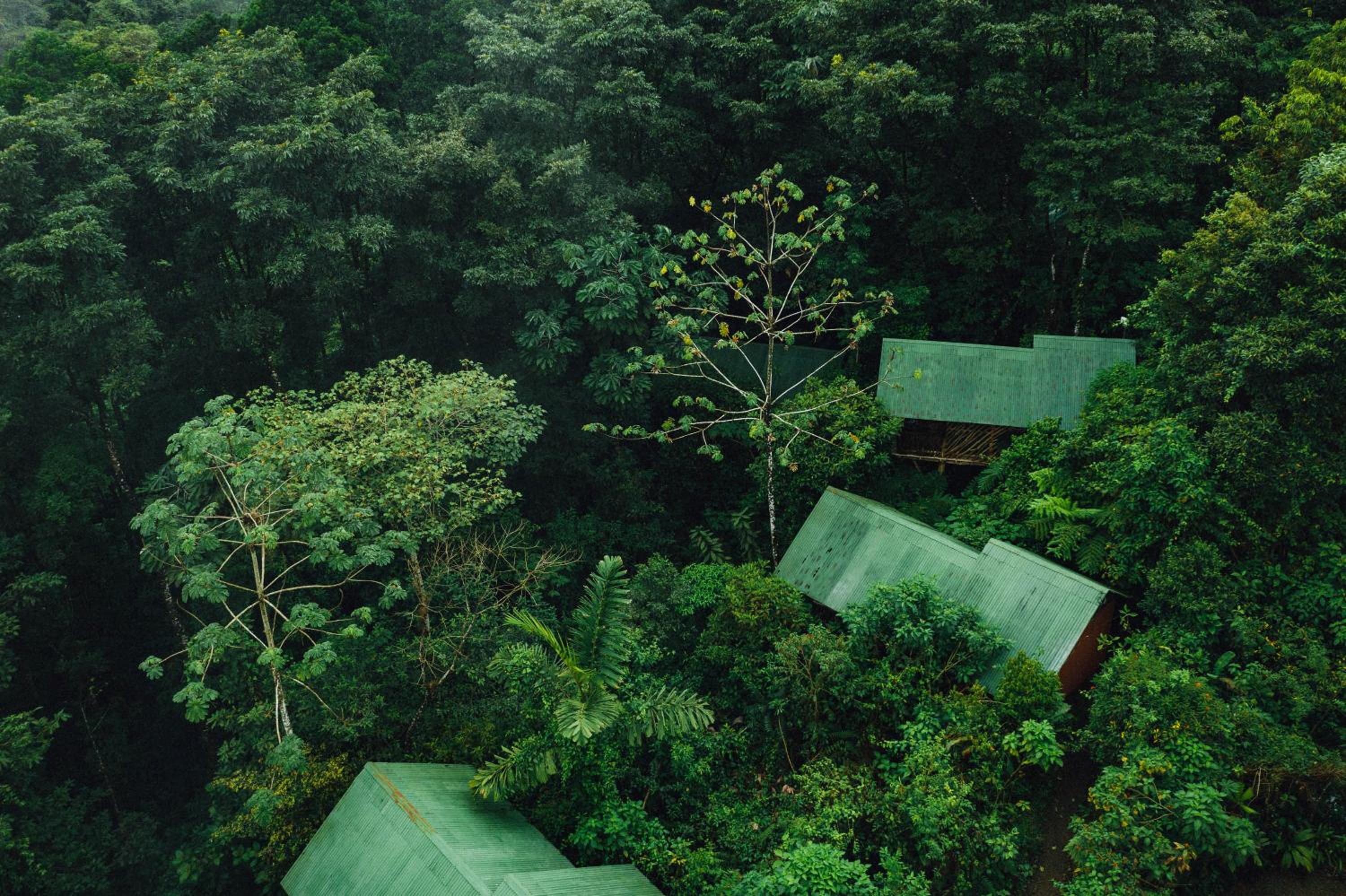 La Tigra Rainforest Lodge