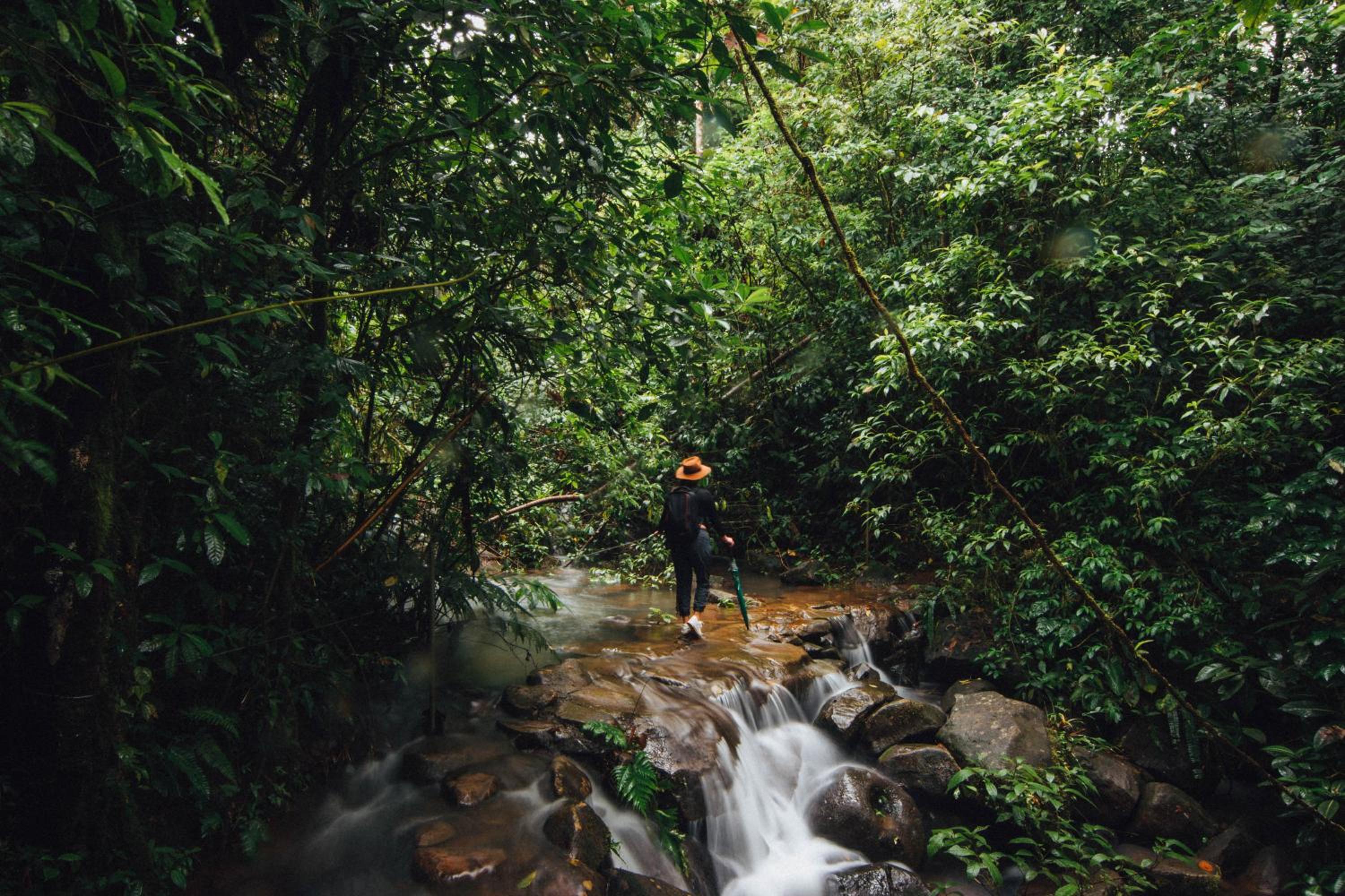 La Tigra Rainforest Lodge