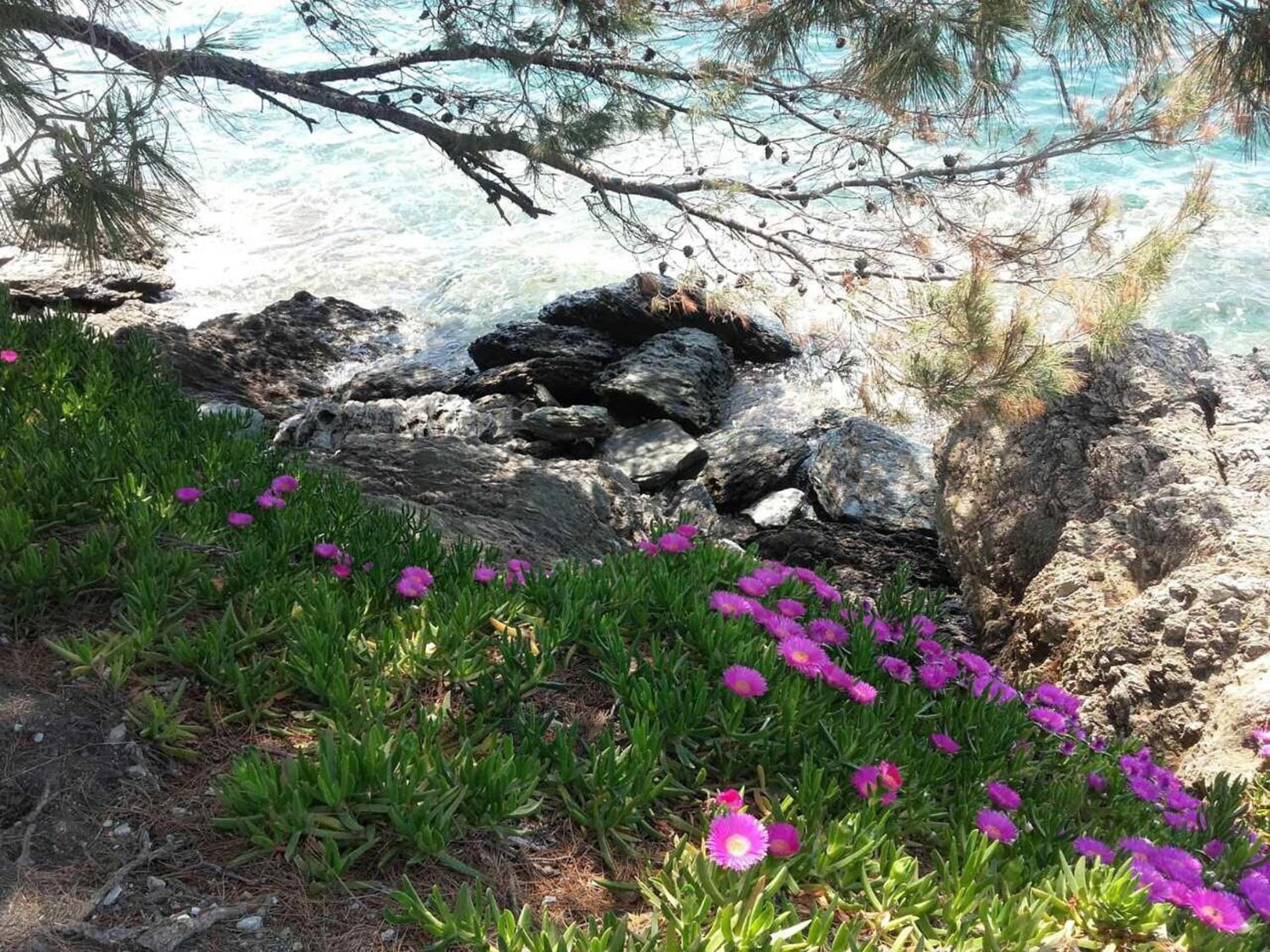 Elegant Apartment with Sea View in Neos Marmaras | 93 sqm