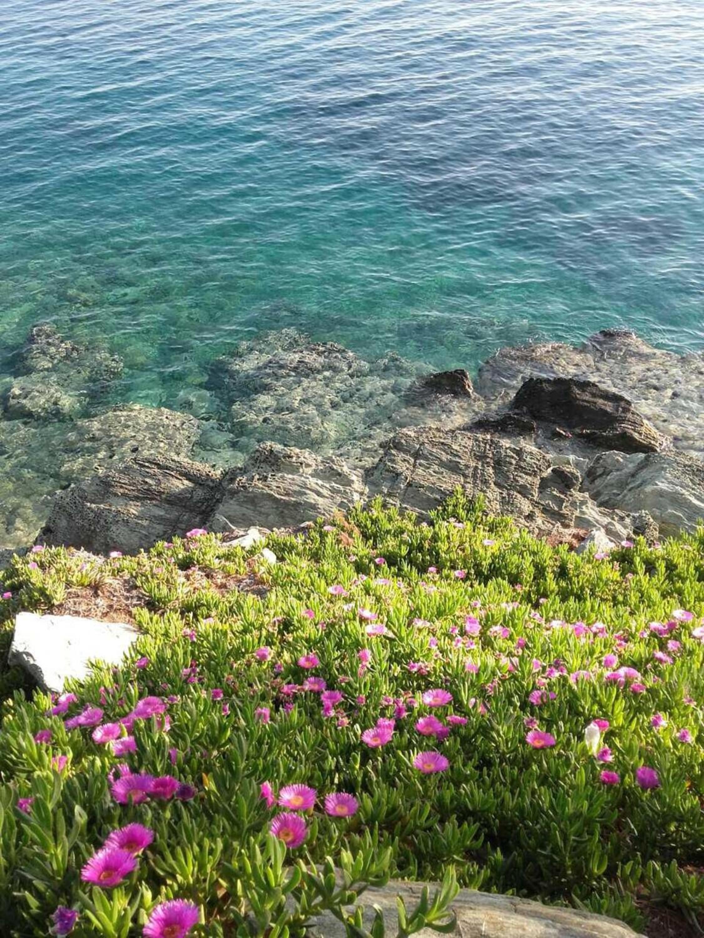 Elegant Apartment with Sea View in Neos Marmaras | 93 sqm