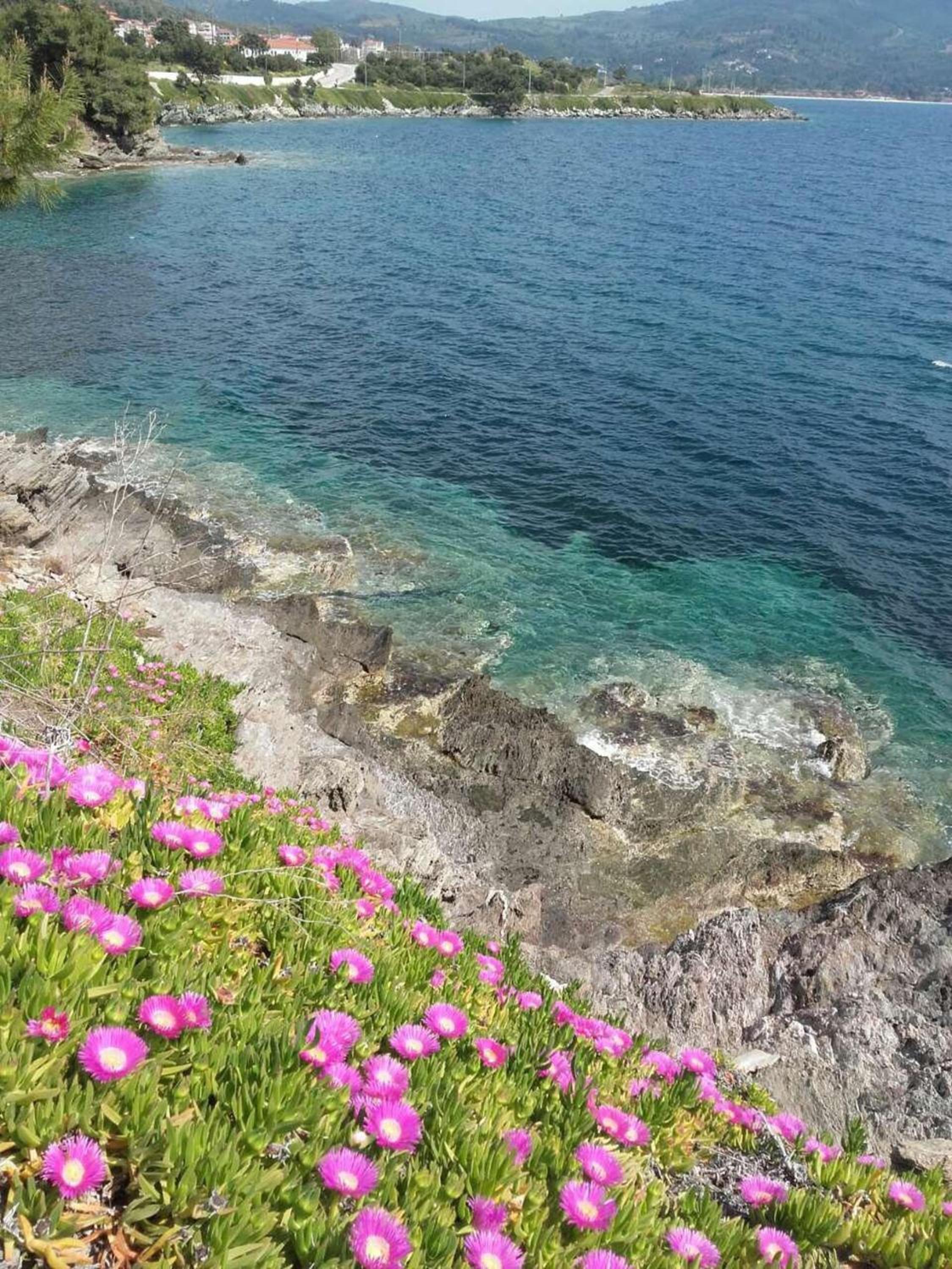 Elegant Apartment with Sea View in Neos Marmaras | 93 sqm