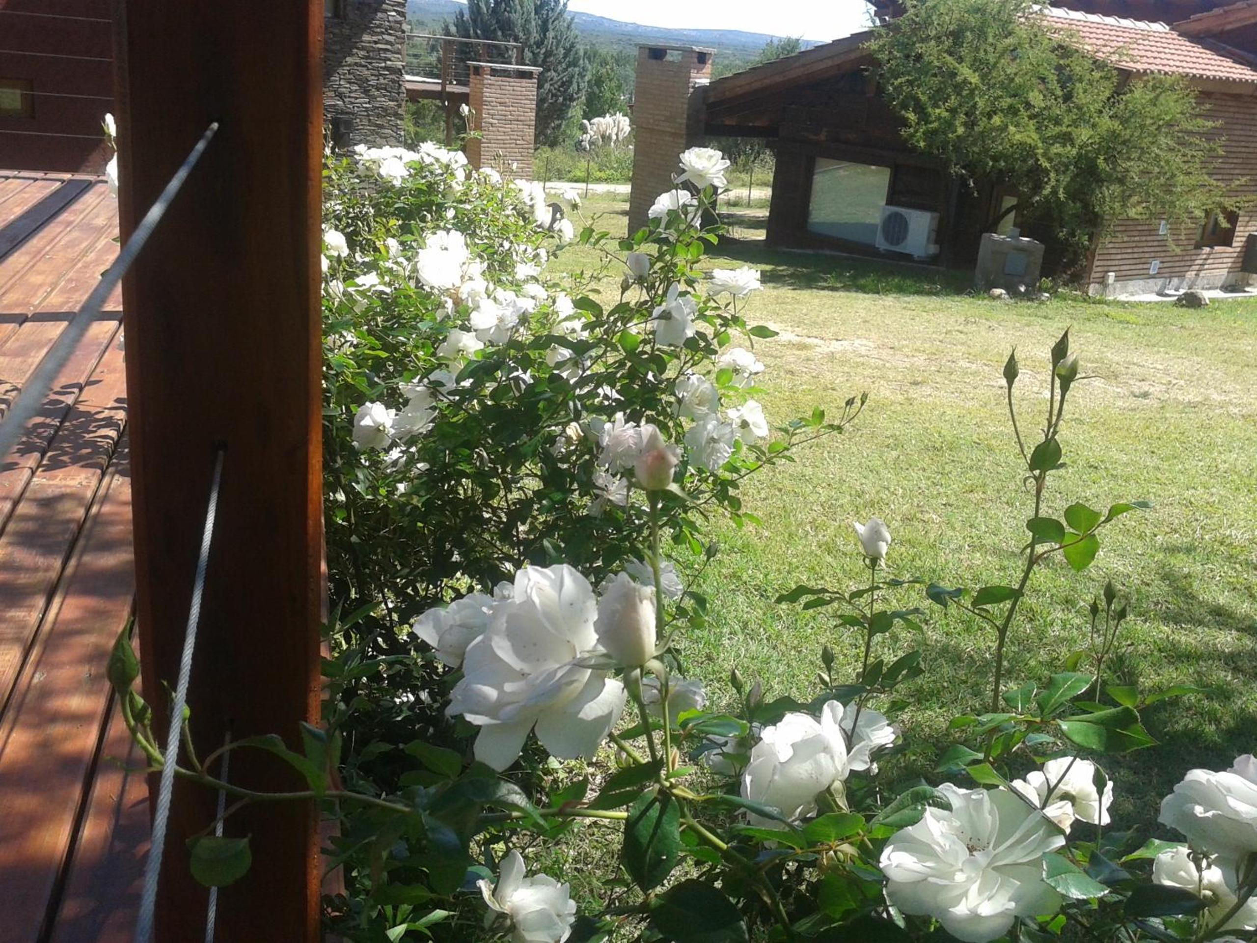 Brisas de Nono