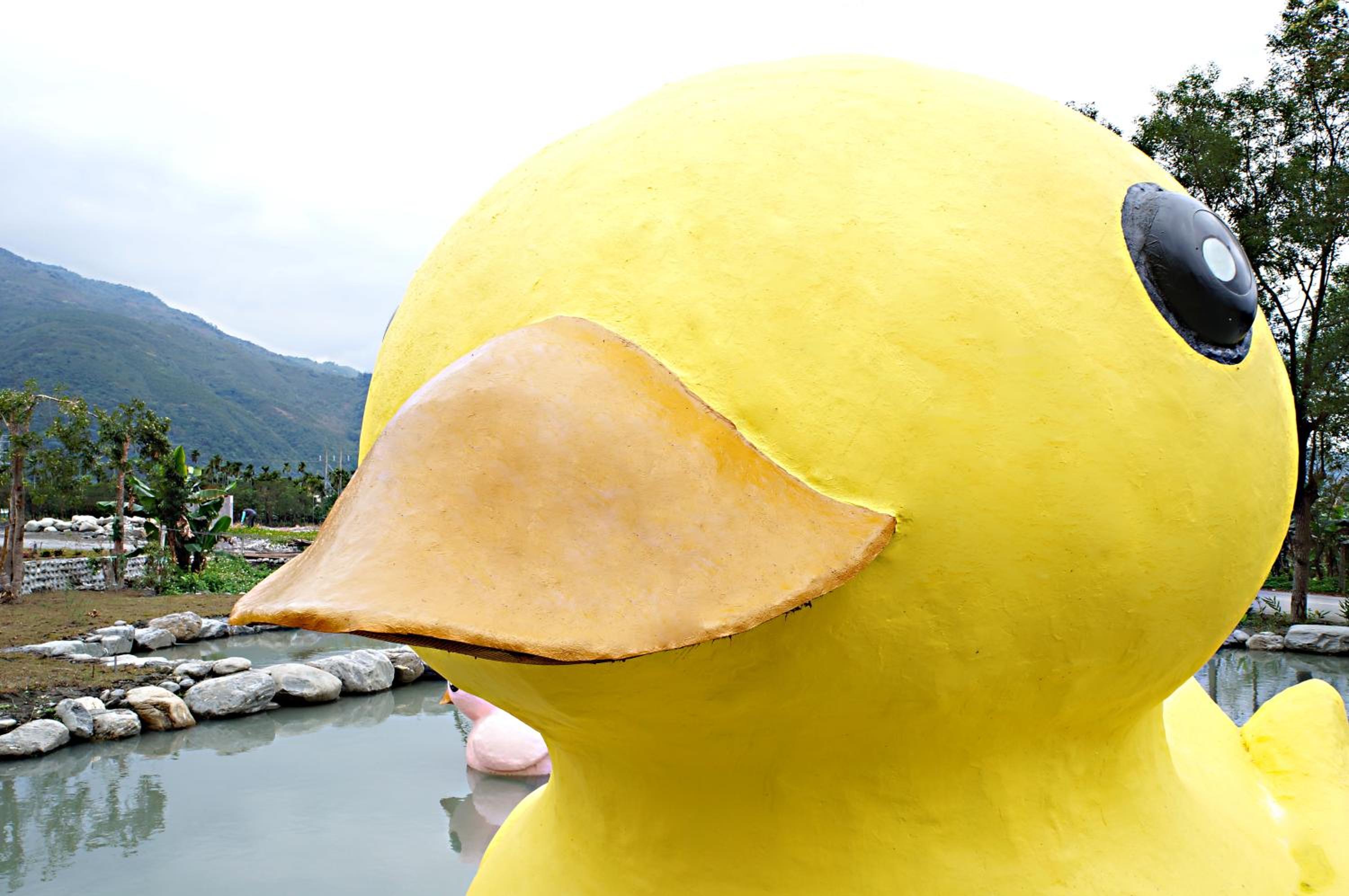 依比鴨鴨水岸會館 Ducking House