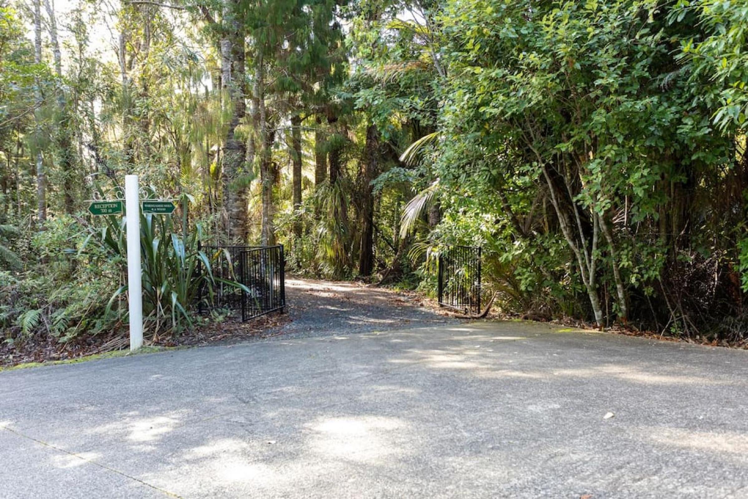 Tree-top luxury in the Waitakere Ranges