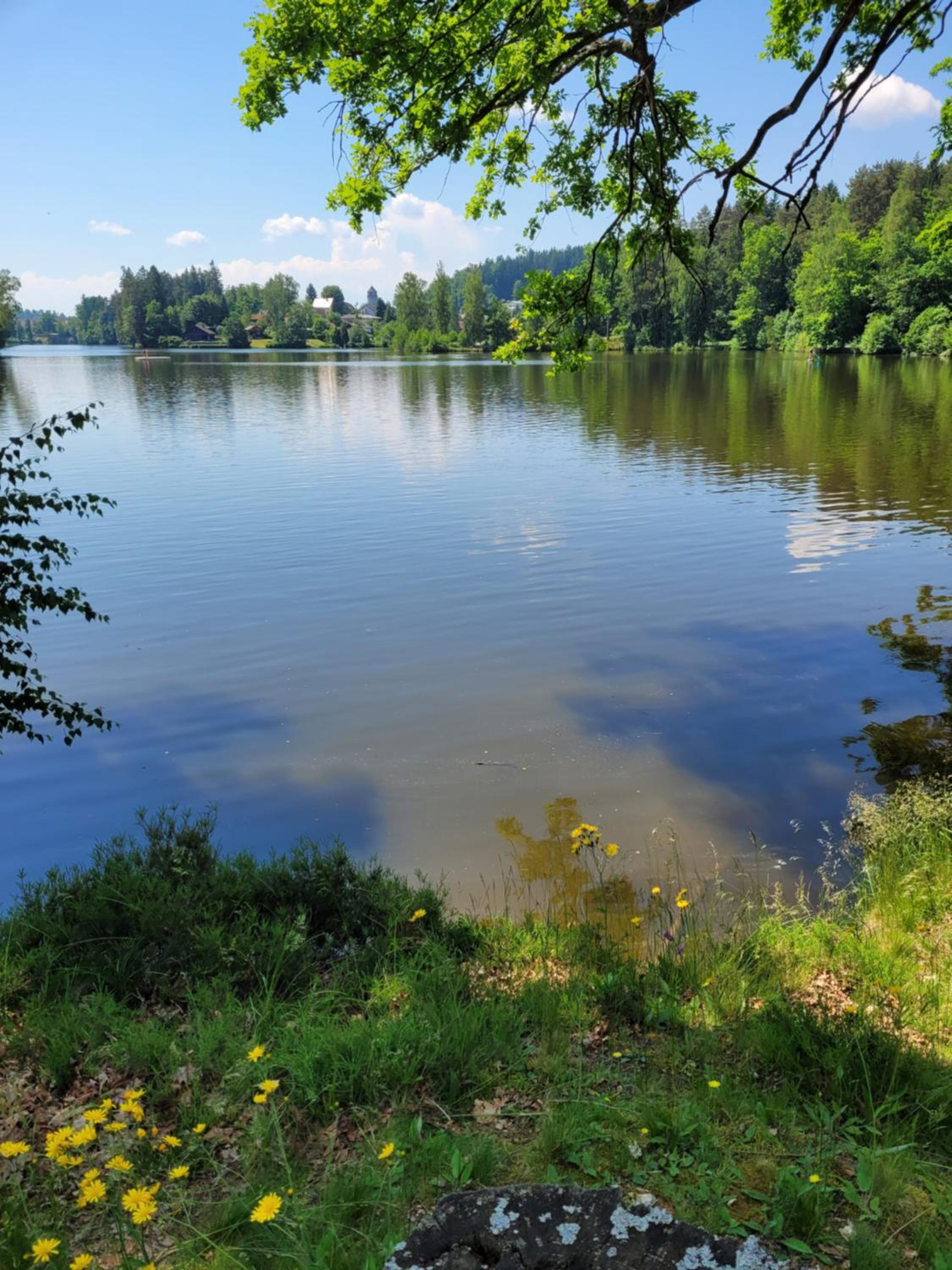 Haus Waldviertel am Herrensee view 3