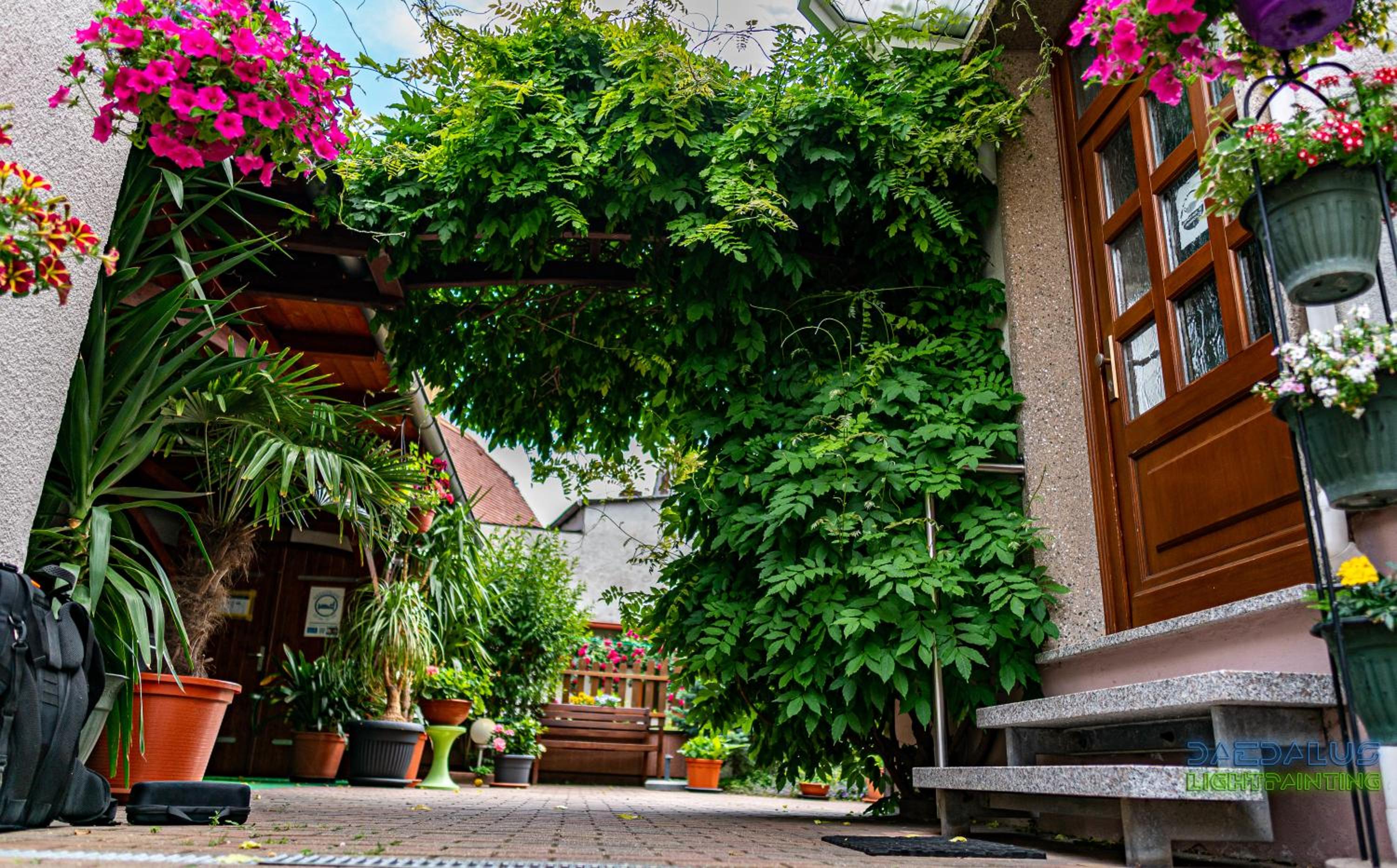 Pension Borna - Property Image 44