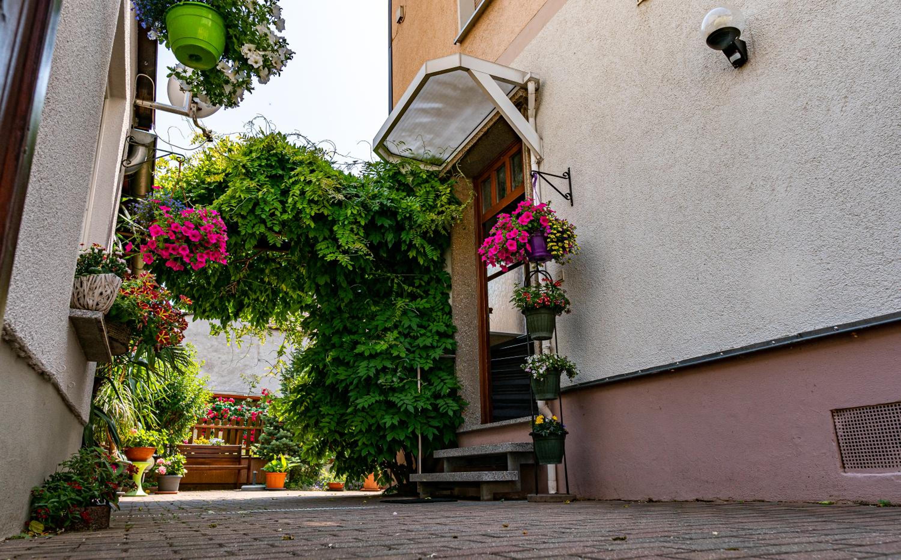 Pension Borna - Property Image 45