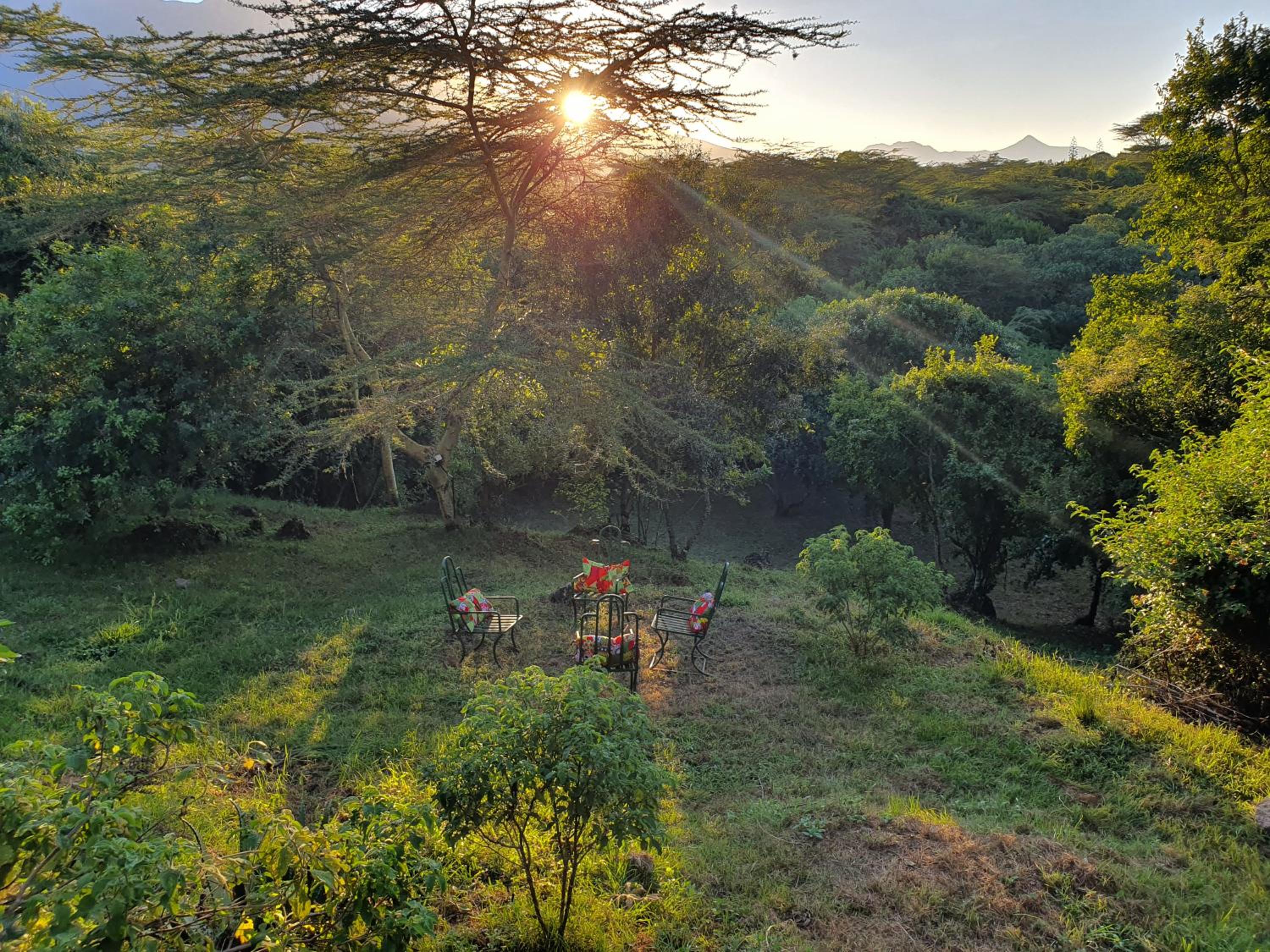 Hillside Retreat – Africa Amini Life