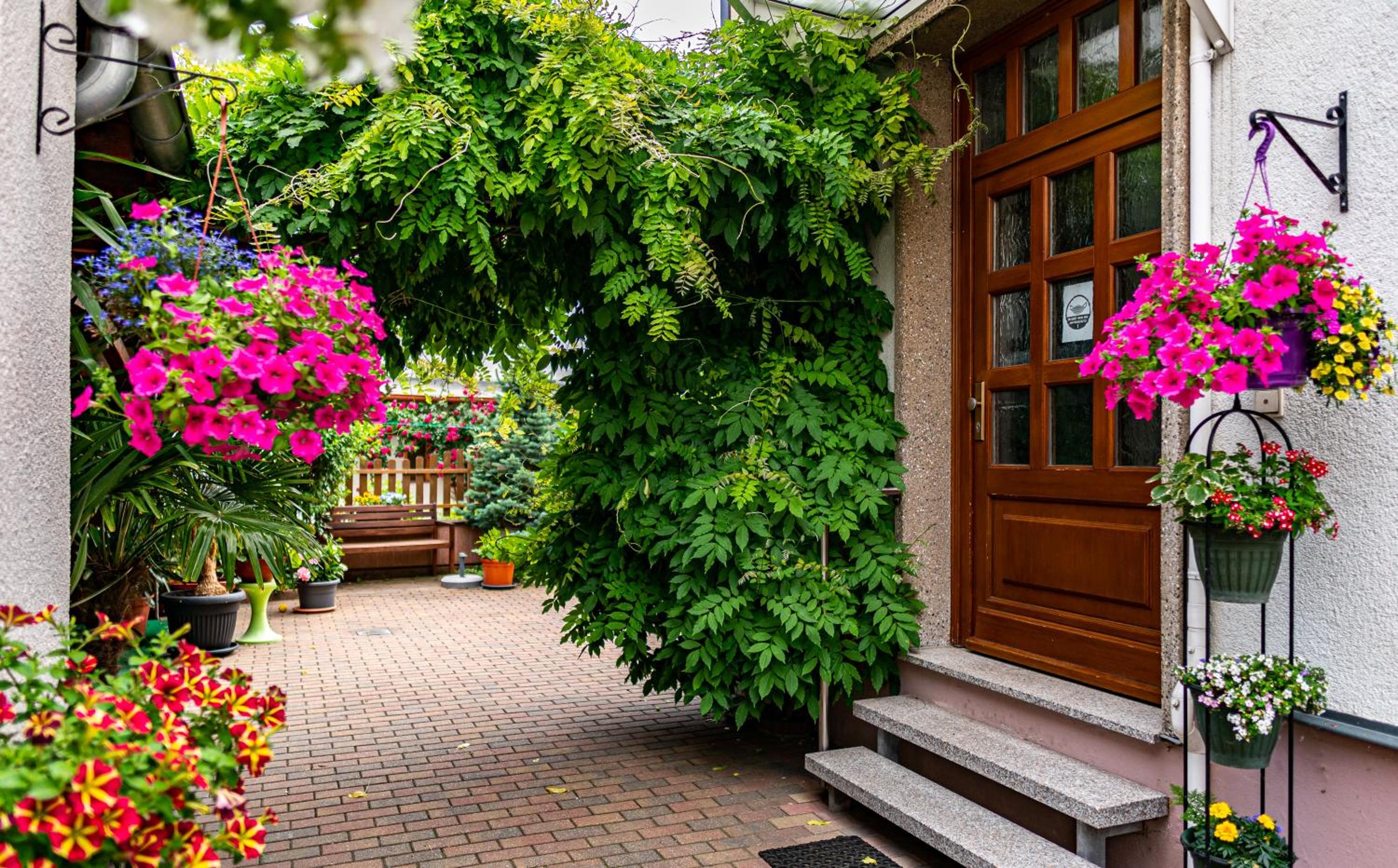 Pension Borna - Property Image 56