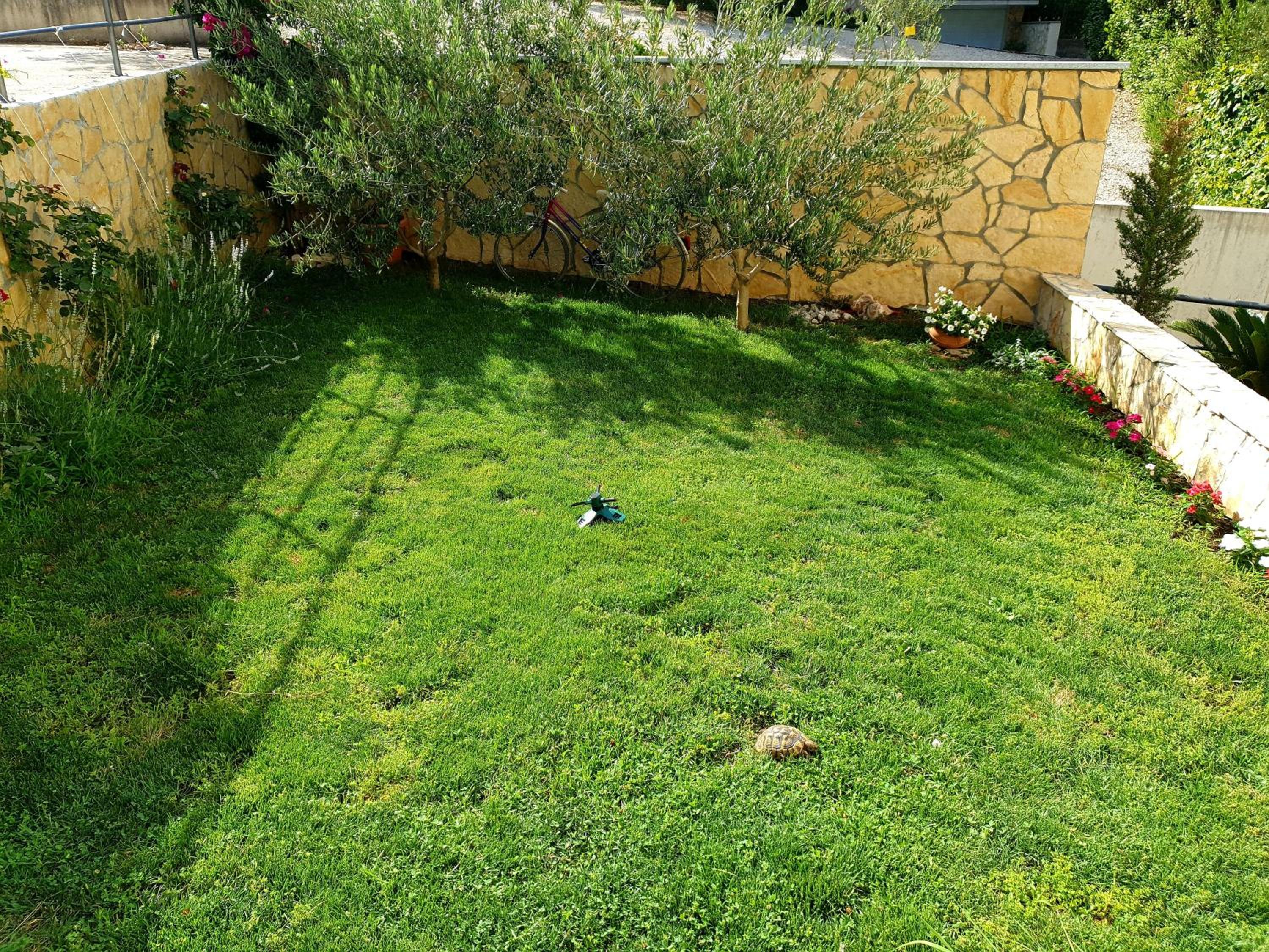 Vila Damir view 4