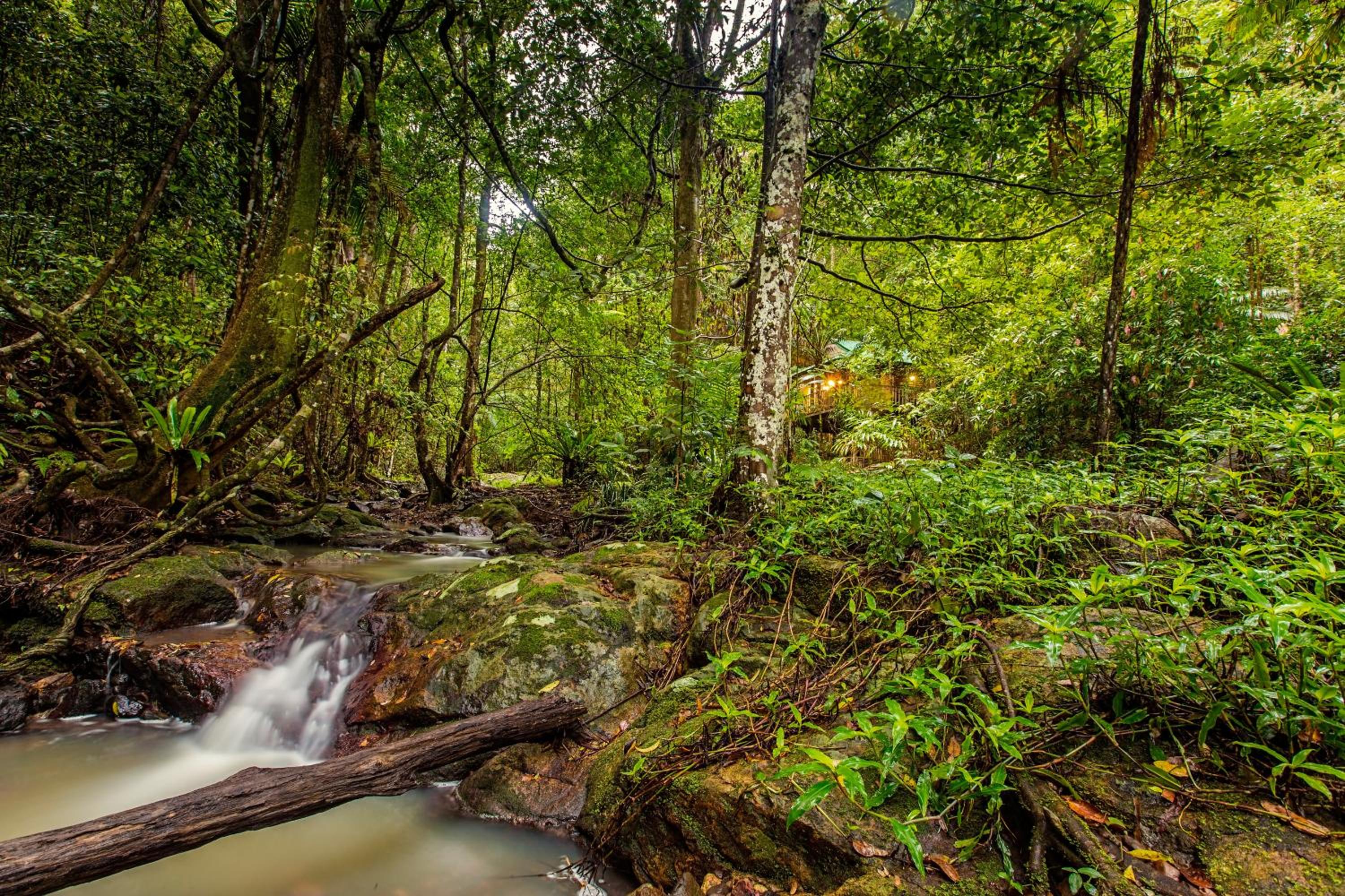 Narrows Escape Rainforest Retreat