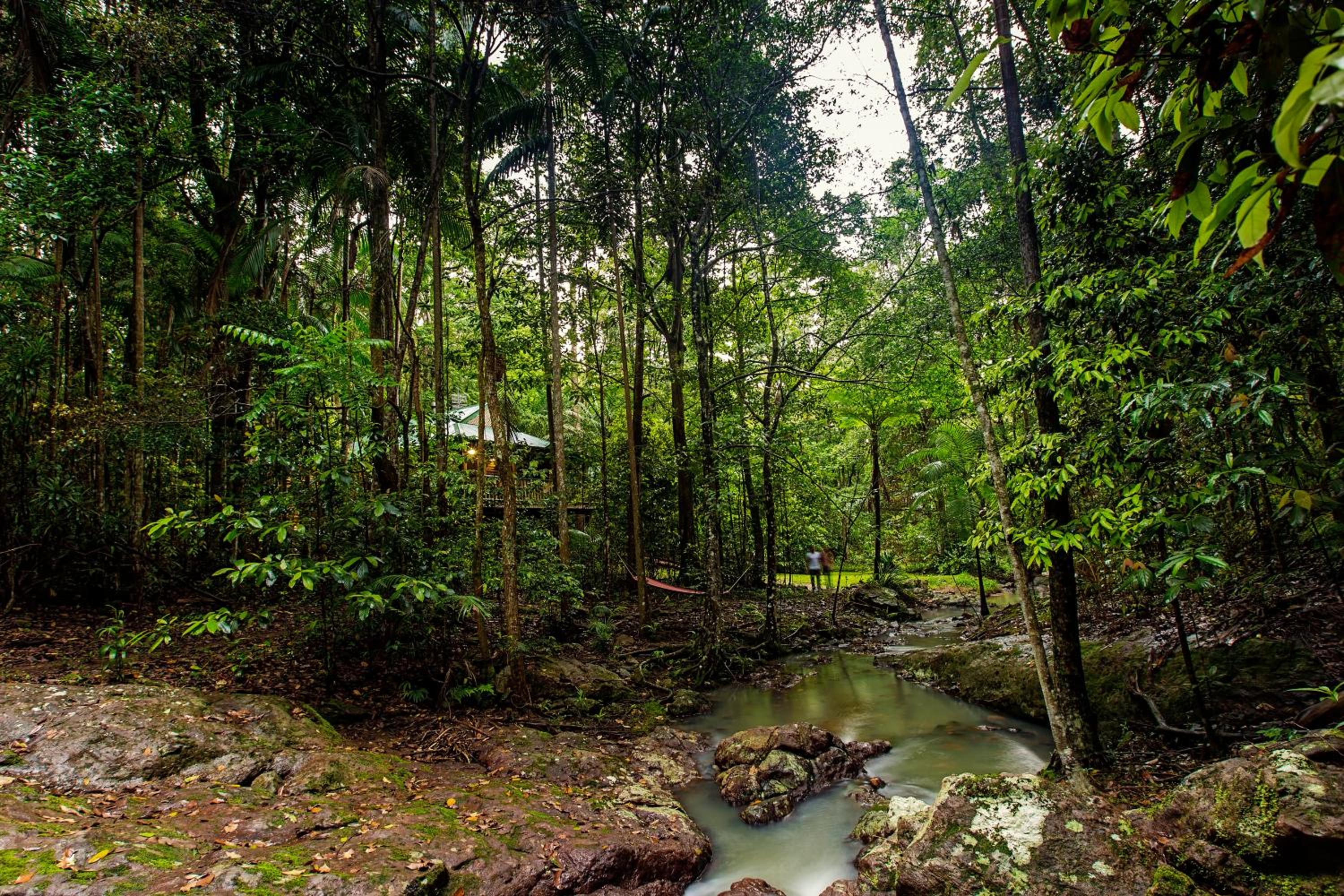 Narrows Escape Rainforest Retreat