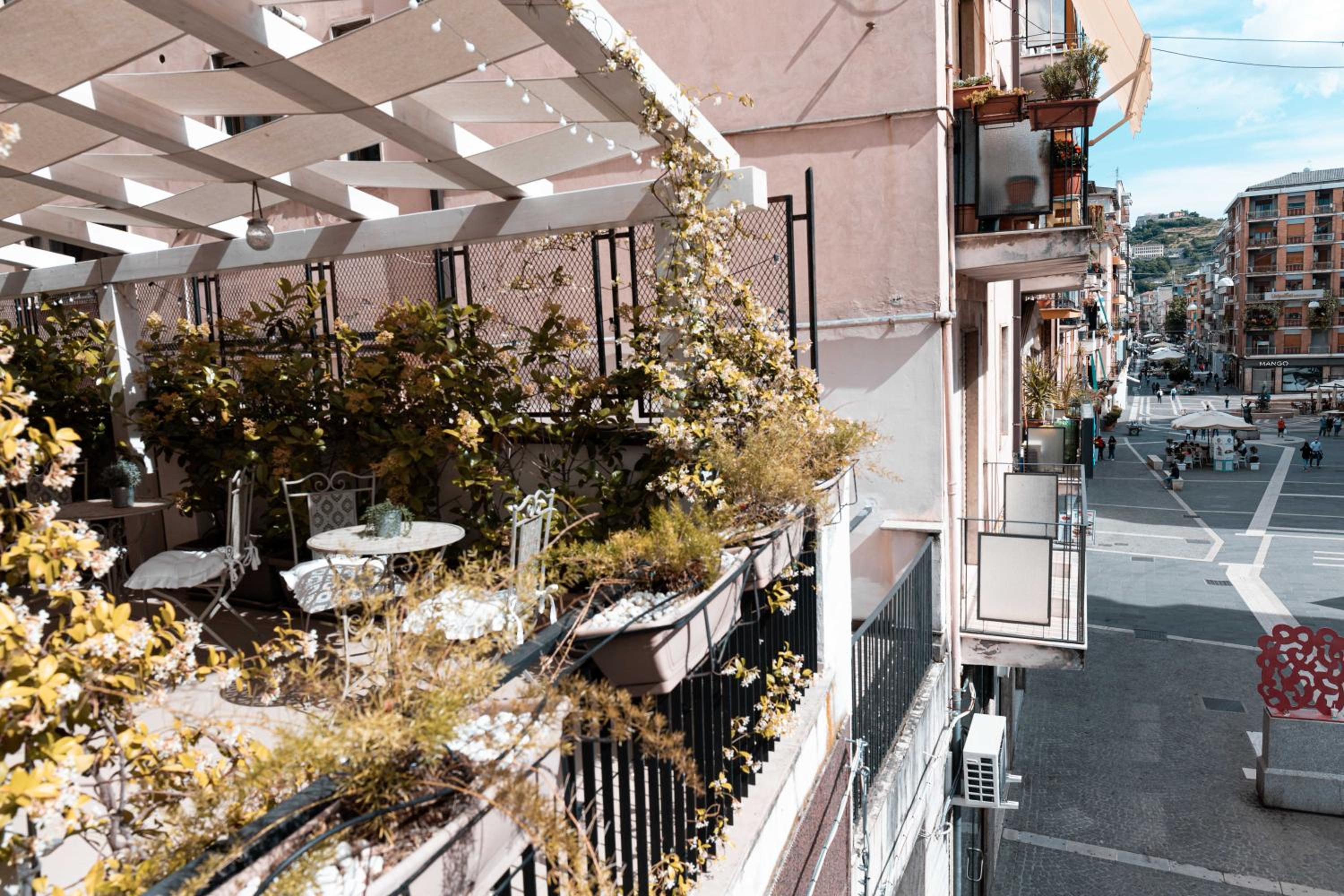 balance & terrace