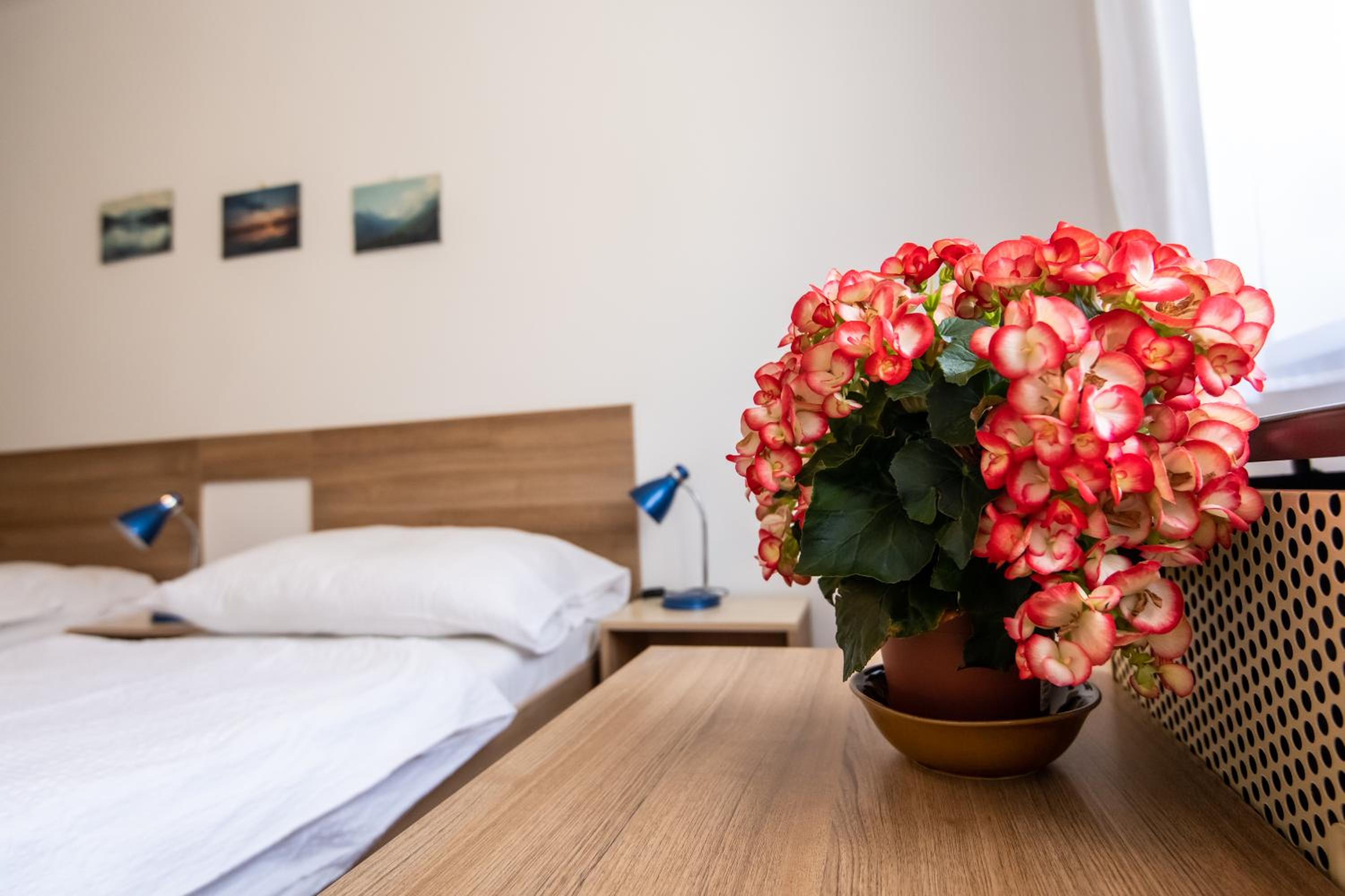 Kis János Apartman view 4