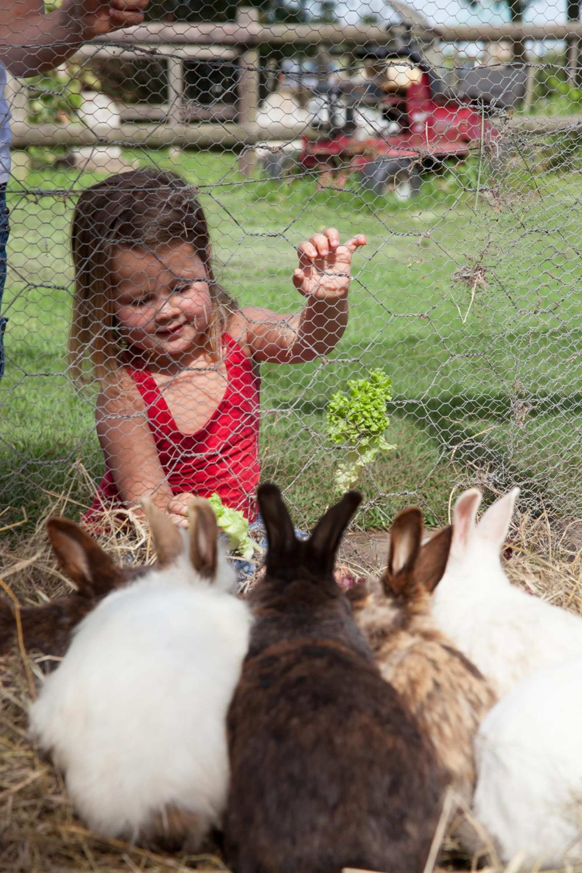 Redberry Farm